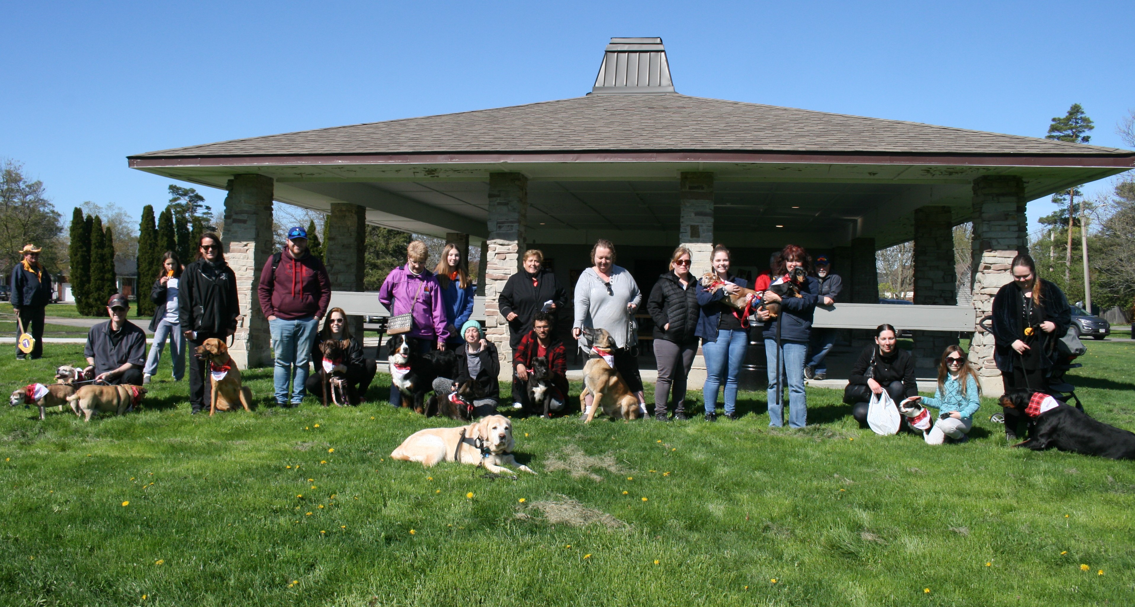 Featured image for Hagersville dog walkers help give “a new leash on life”