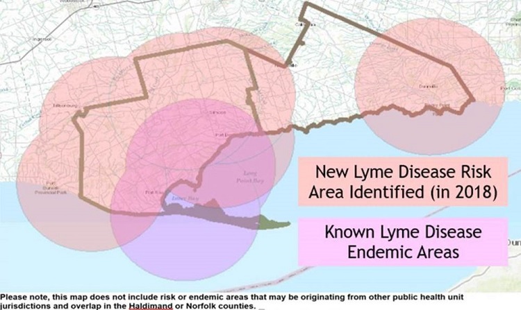 Lyme disease risk area spreads into Haldimand: Rates of West Nile also up