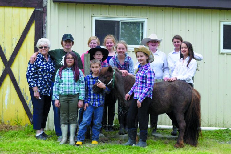 Featured image for Introducing 4-H Haldimand East to Miniature Horse Club