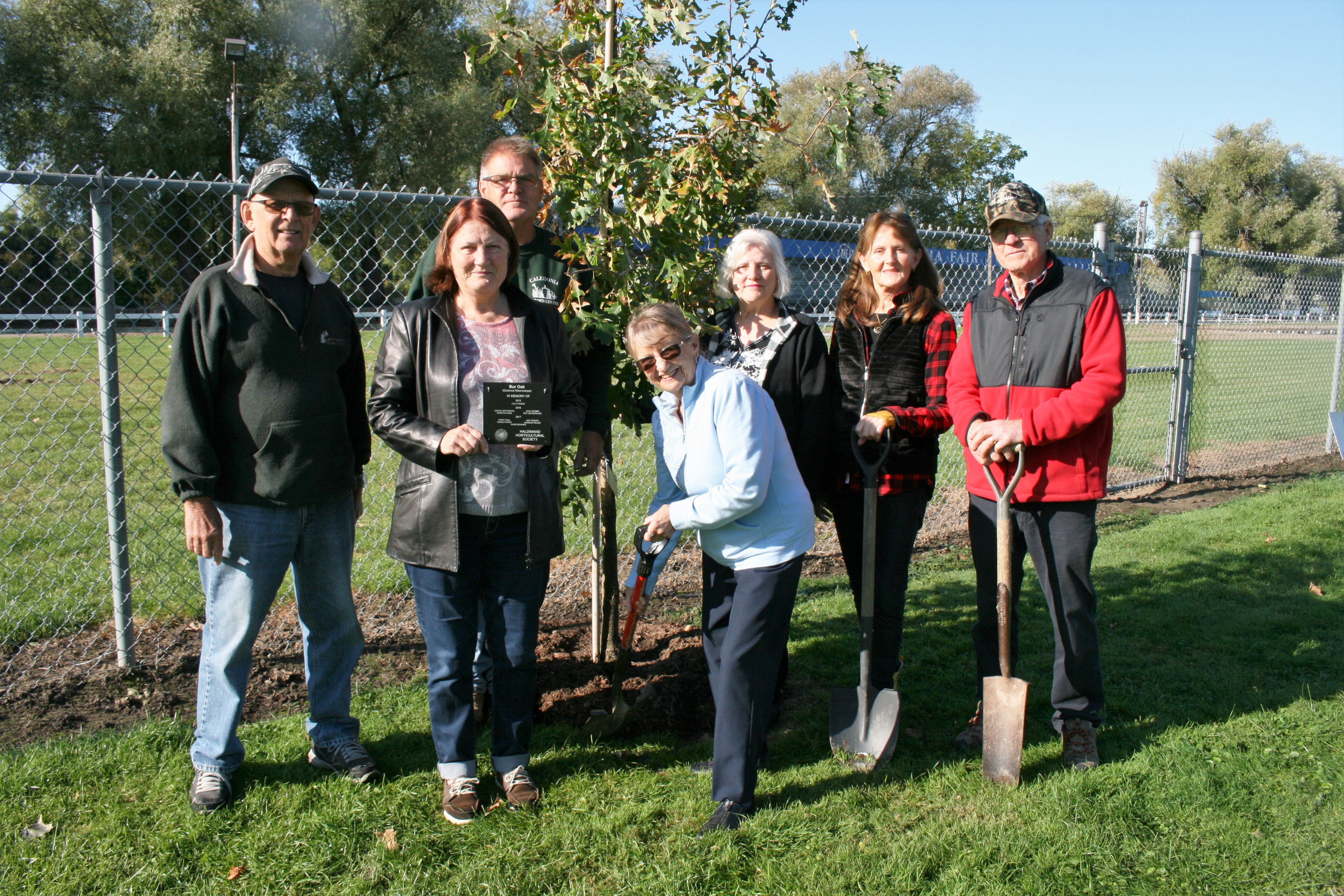 Featured image for Memorial trees recognize past Haldimand Horticultural Society members