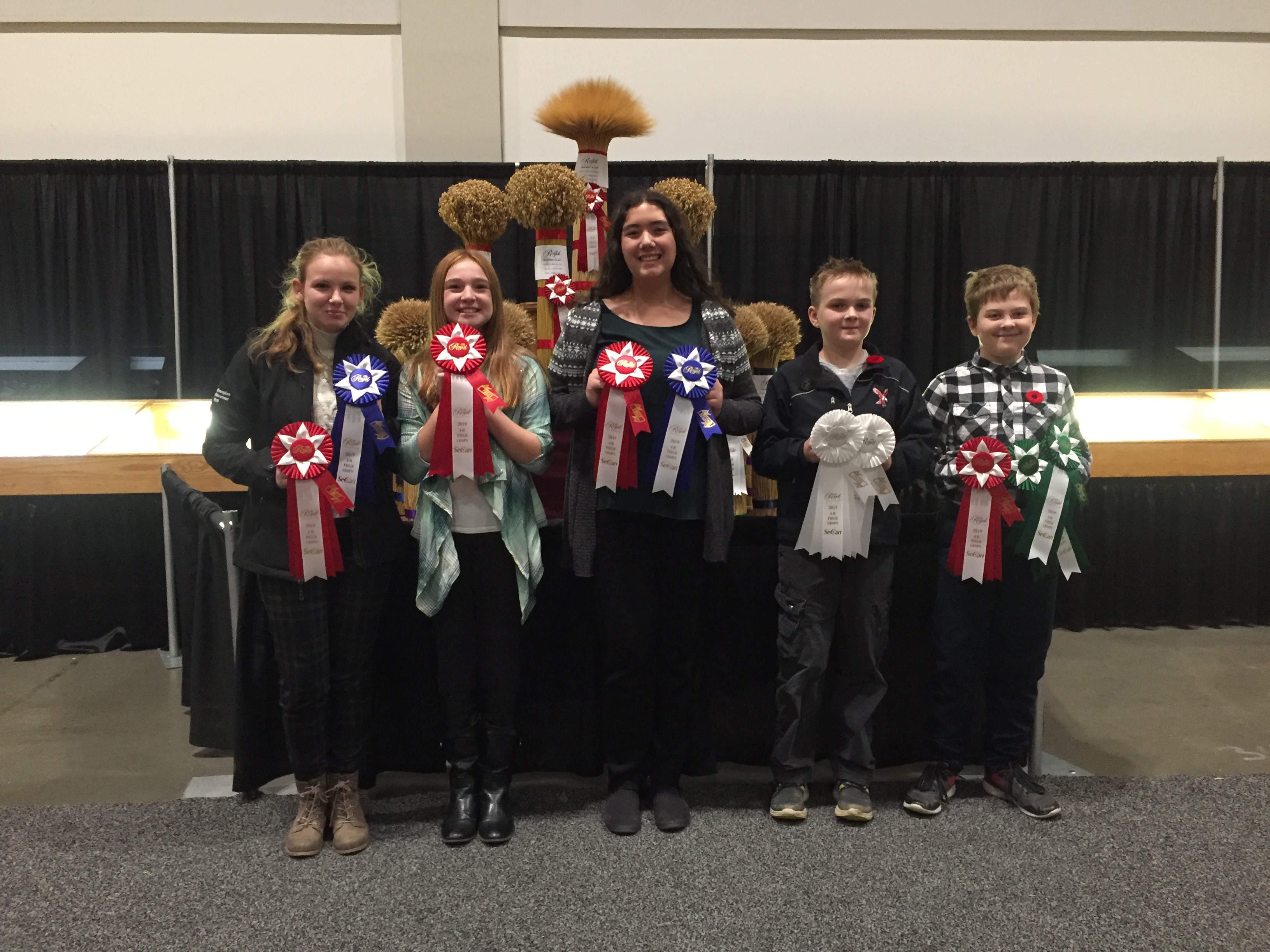 Featured image for Haldimand 4-H competes at Royal Winter Fair