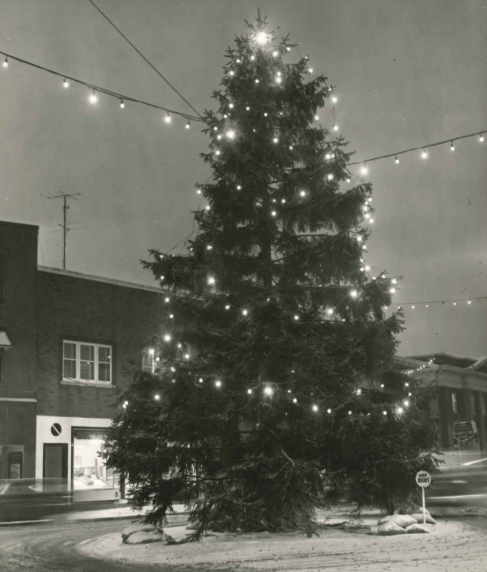 Featured image for A County Christmas: Get Growing – A special Christmas column