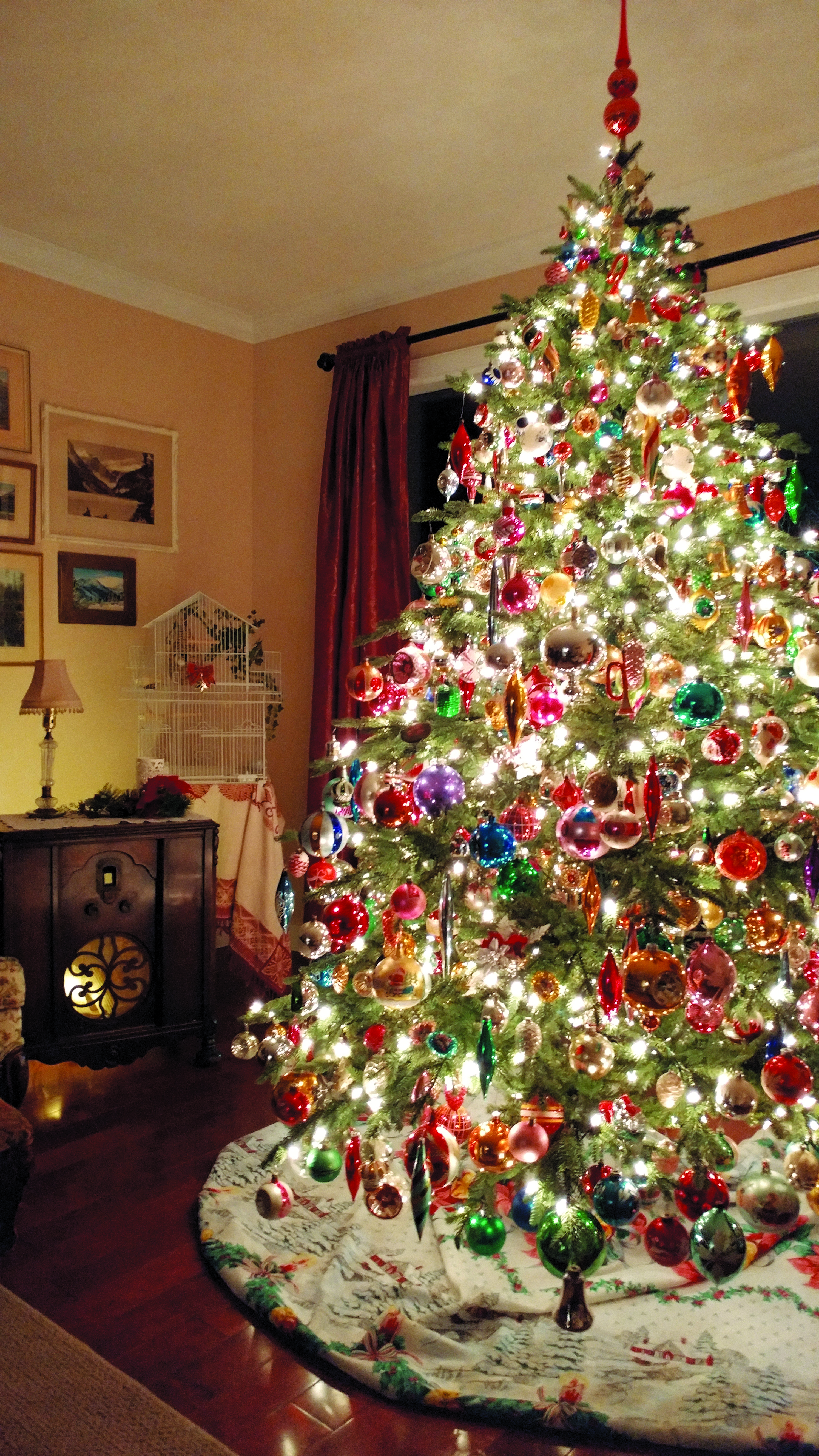 Featured image for A beautiful tree