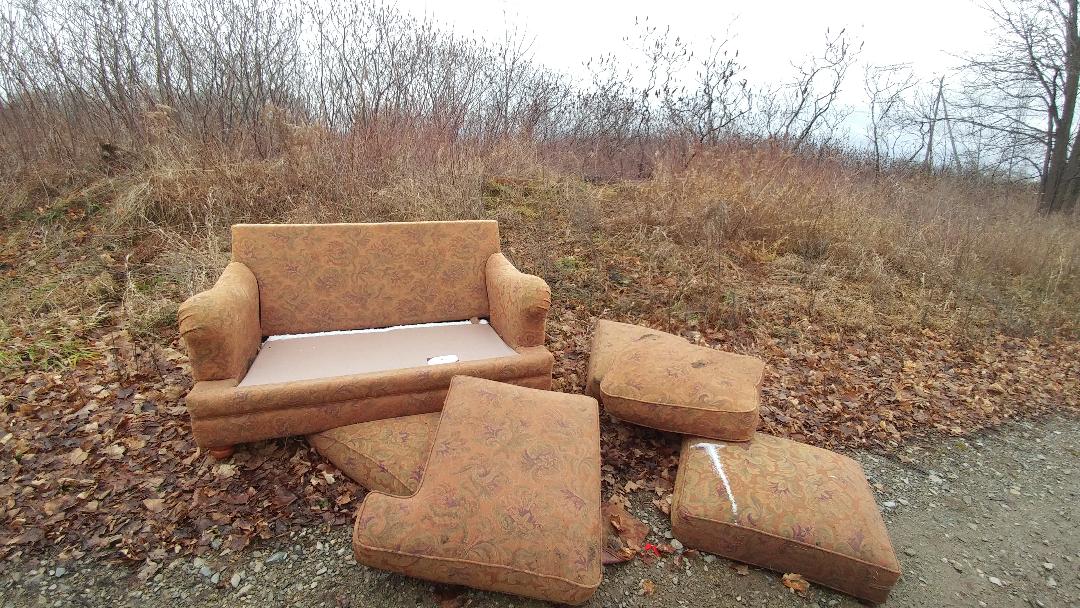 Featured image for Letter to the Editors: Roadside Dumping