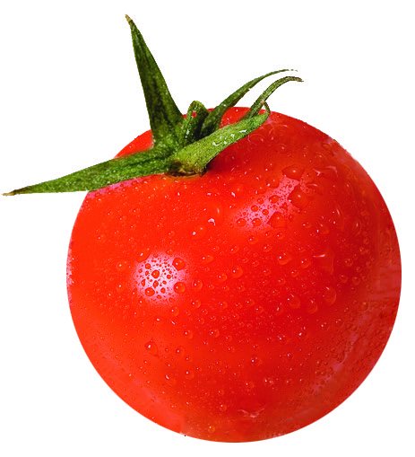 Featured image for The 12 Days of (Gardening) Christmas