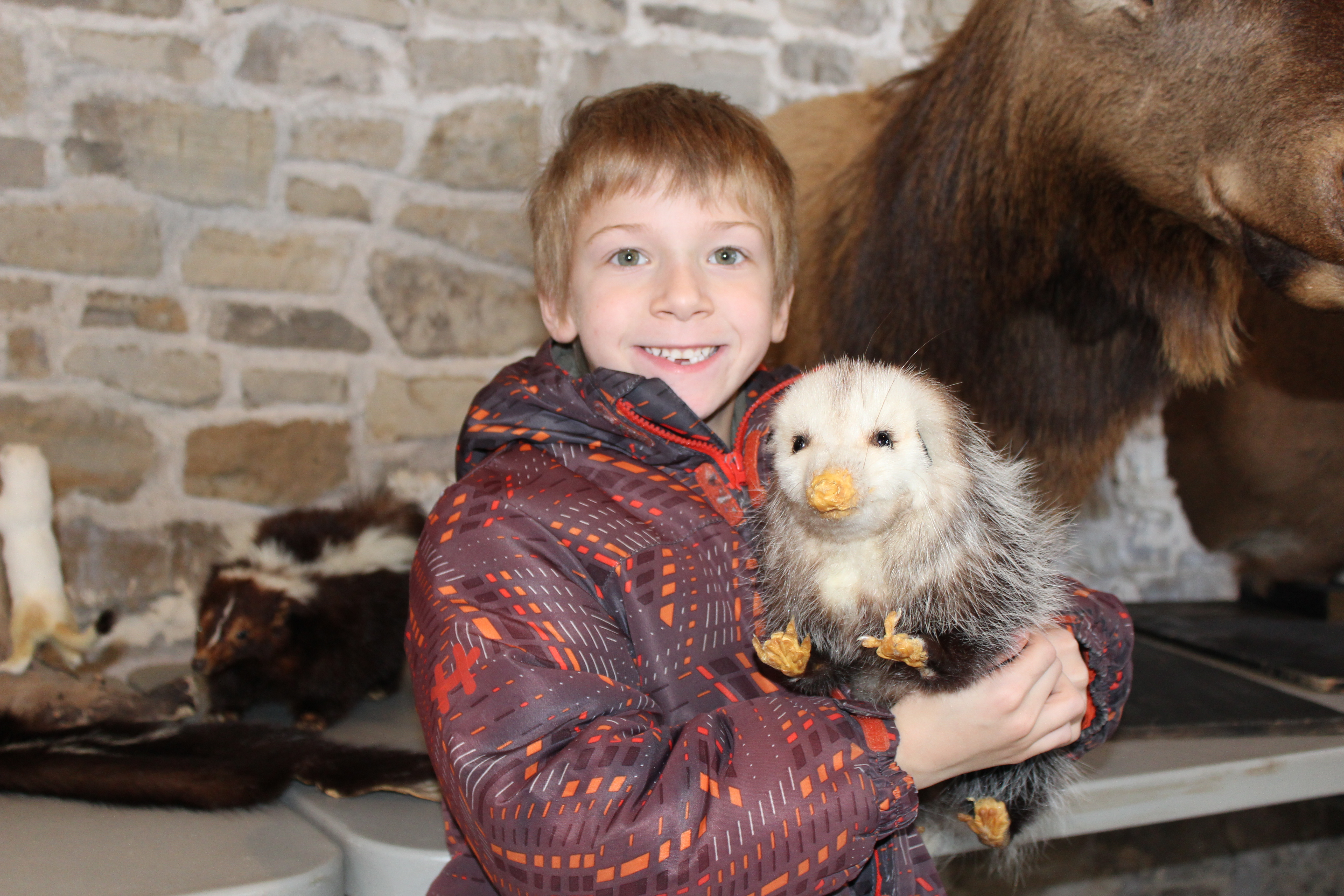 Featured image for Hands on with wildlife