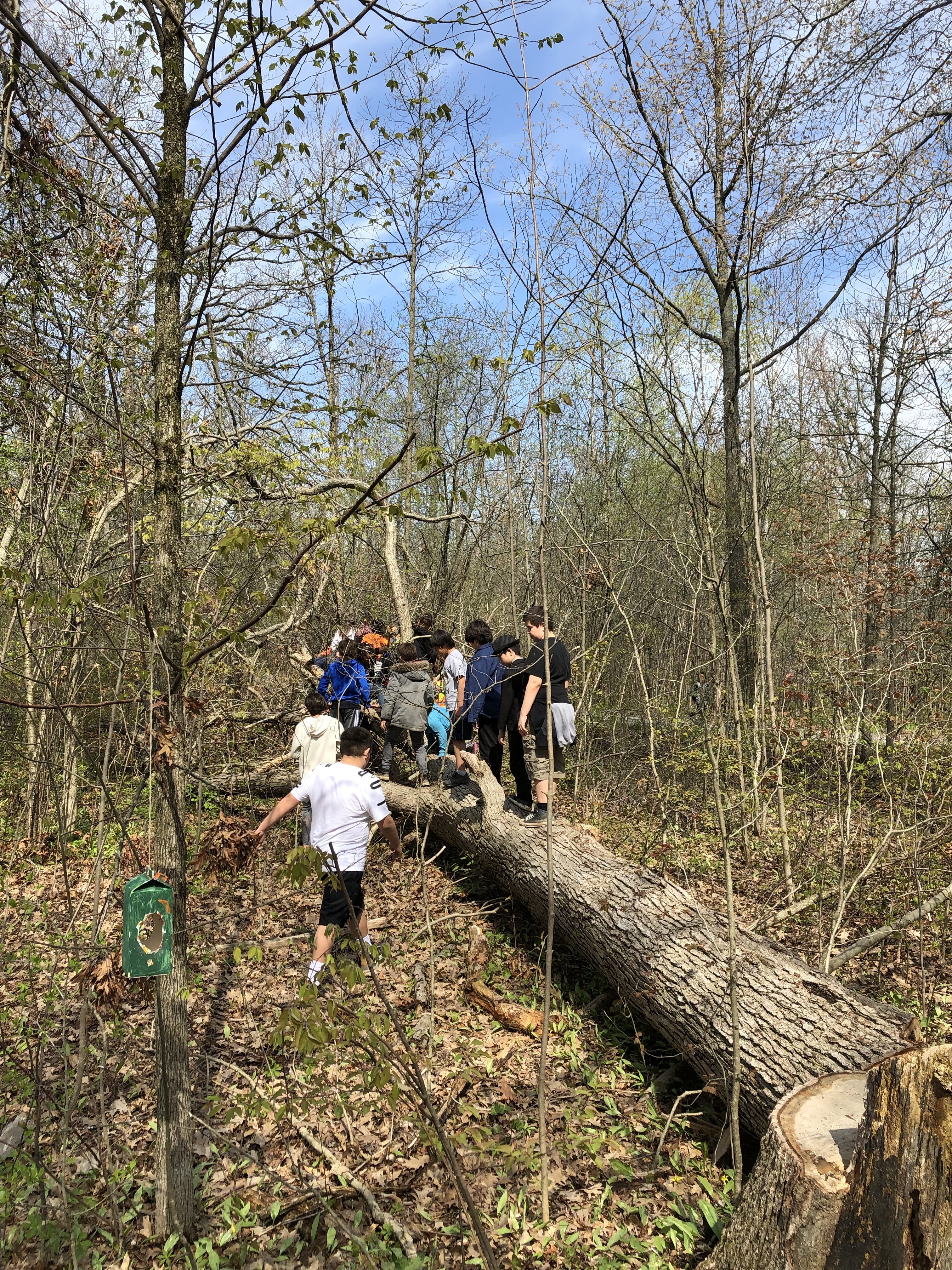 Featured image for Rotarians help LS King environmental program