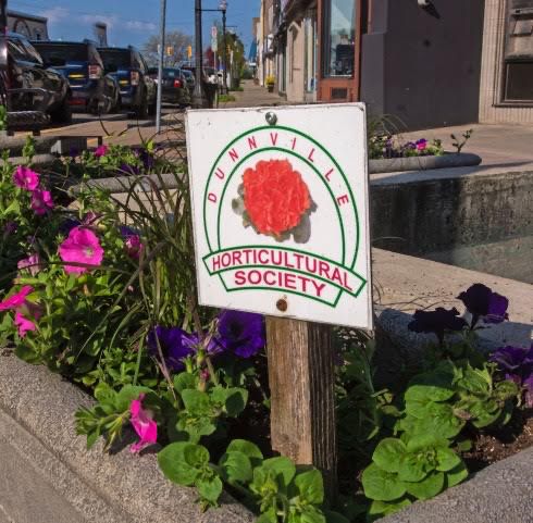 Featured image for Horticultural Society adds some colour to Dunnville
