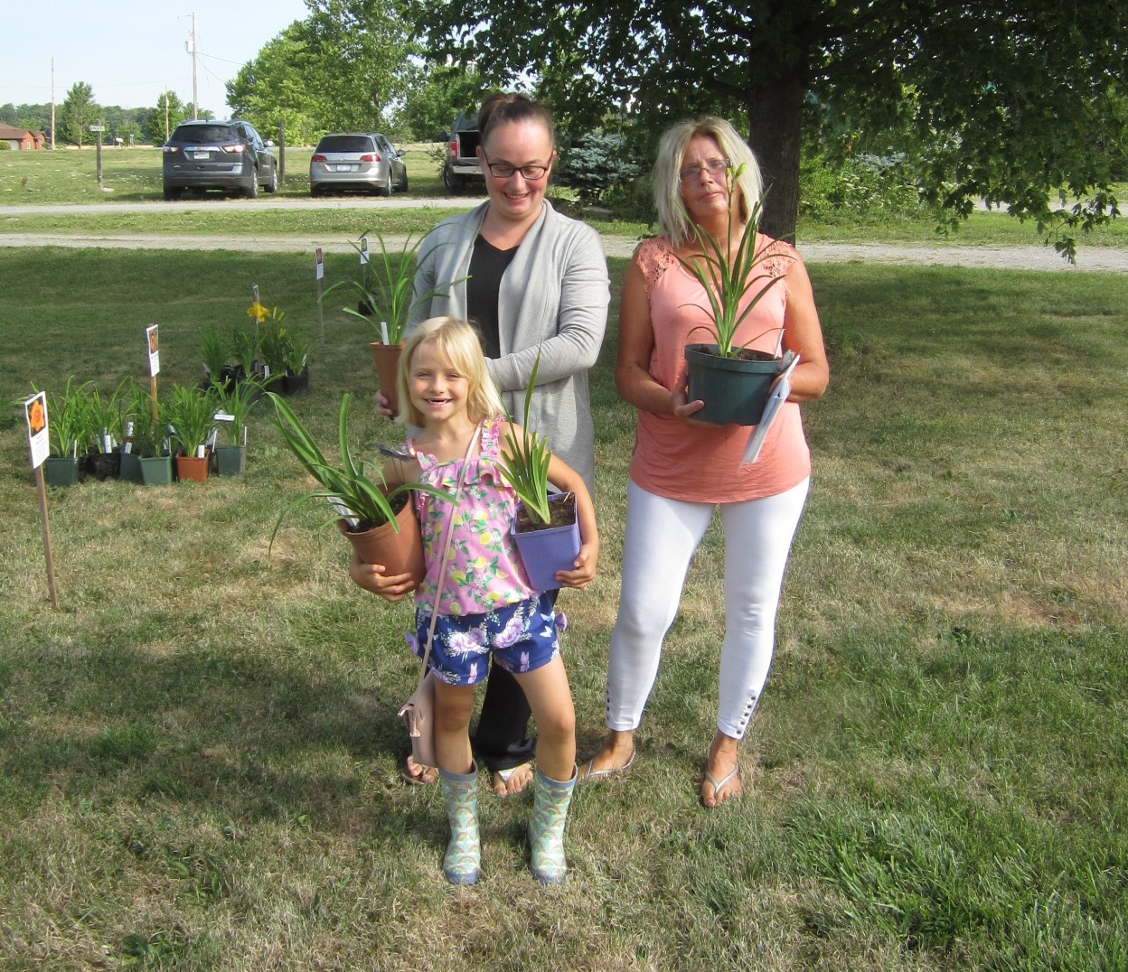 Featured image for Cottonwood Daylily Sale a huge success