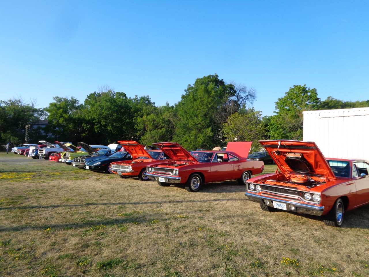 Featured image for Rainham Car Cruisers are back