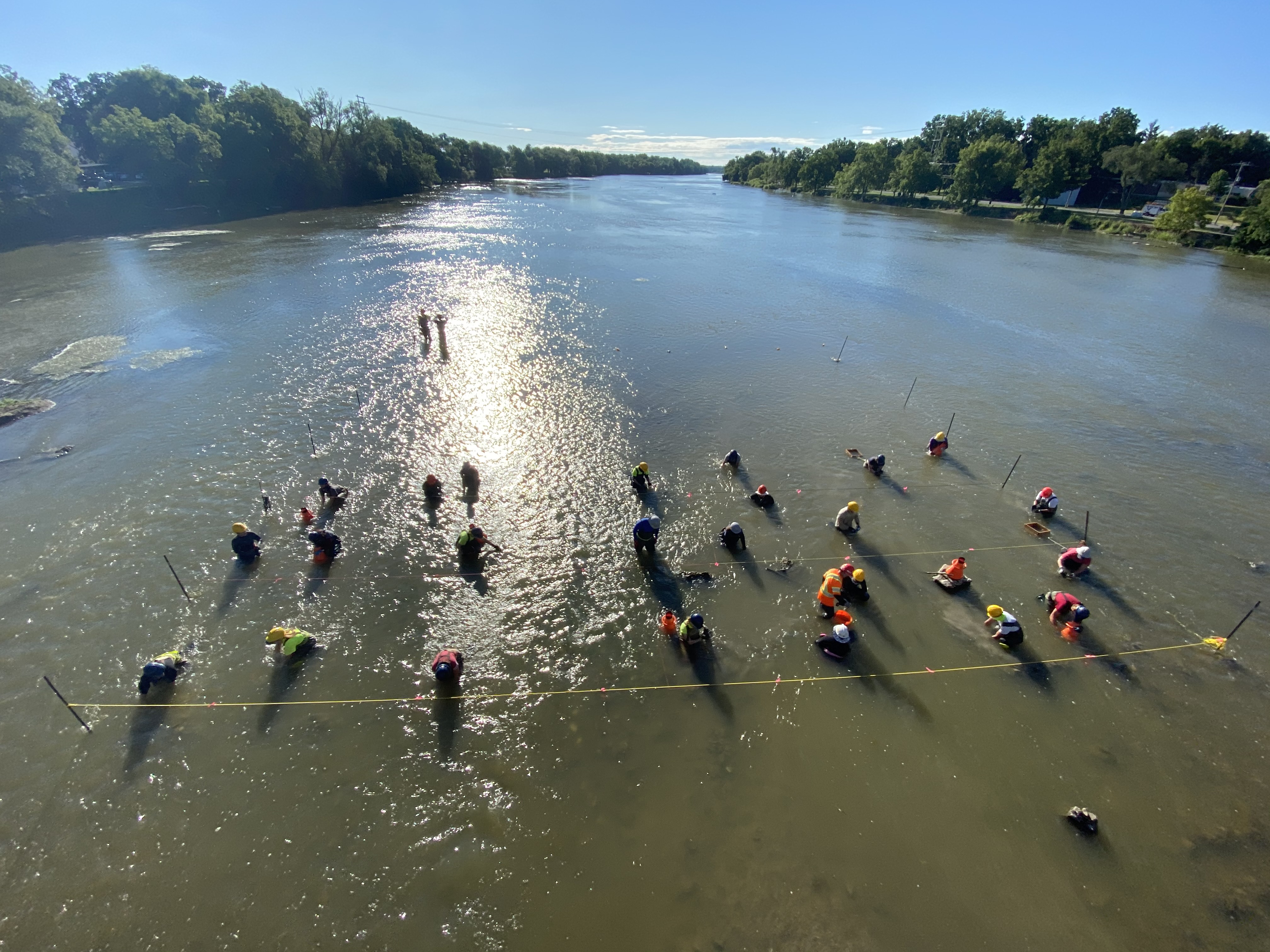 Featured image for Mussel salvage at Caledonia bridge reveals wealth of river filters