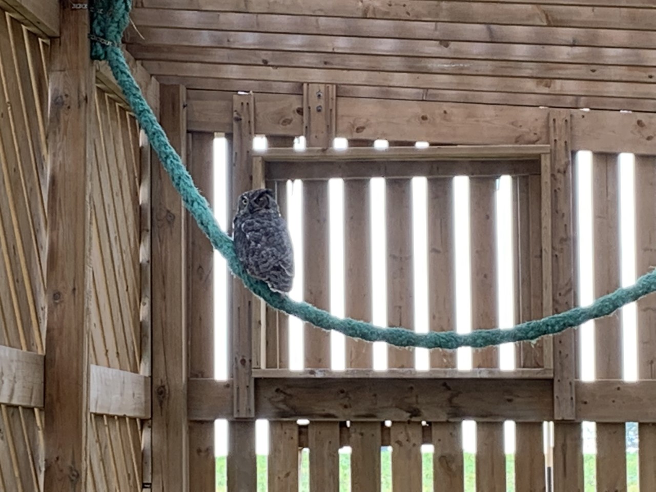 Featured image for Hobbitstee looking to expand, seeking larger property