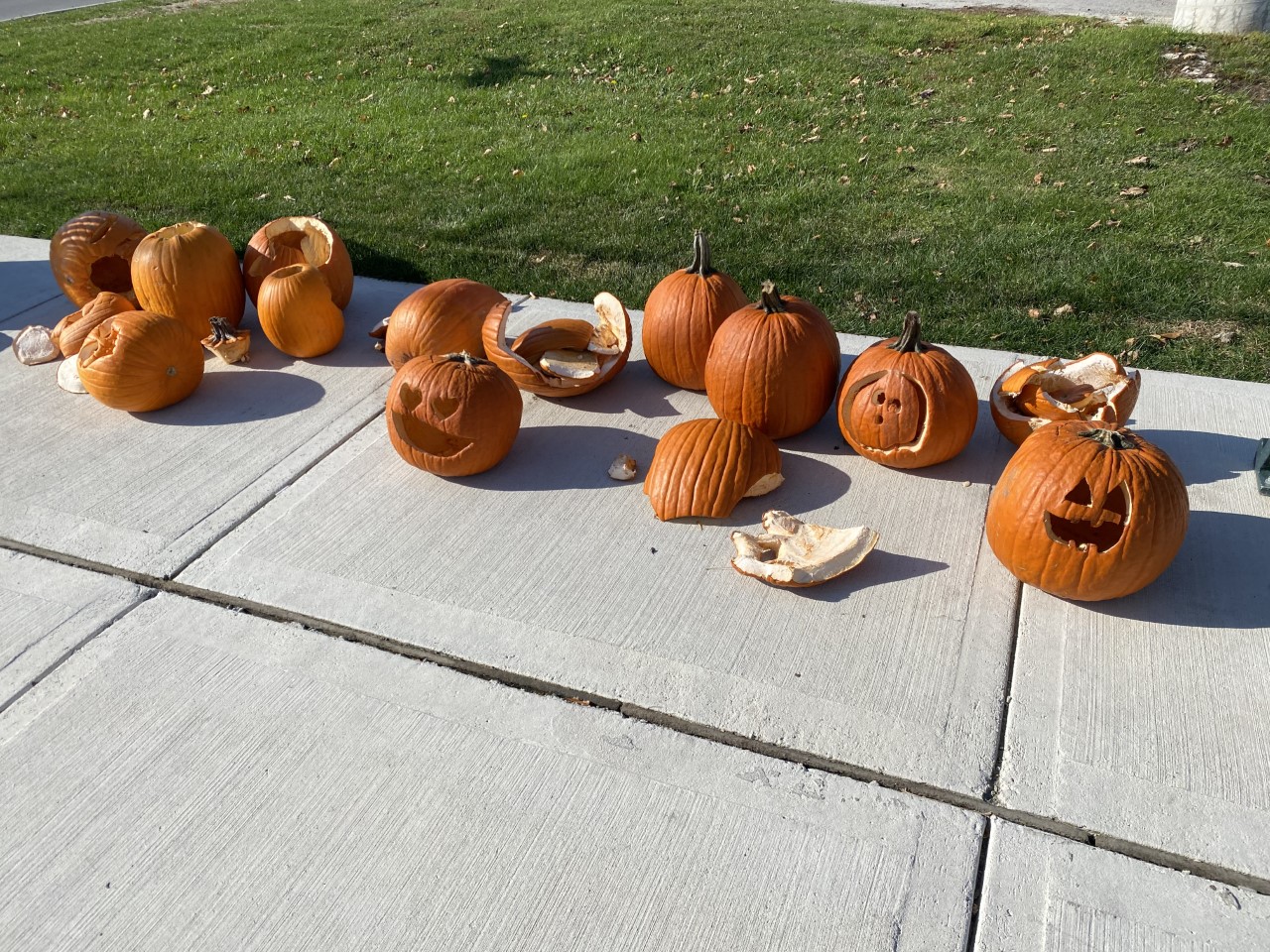 Featured image for Pumpkin Row vandalized