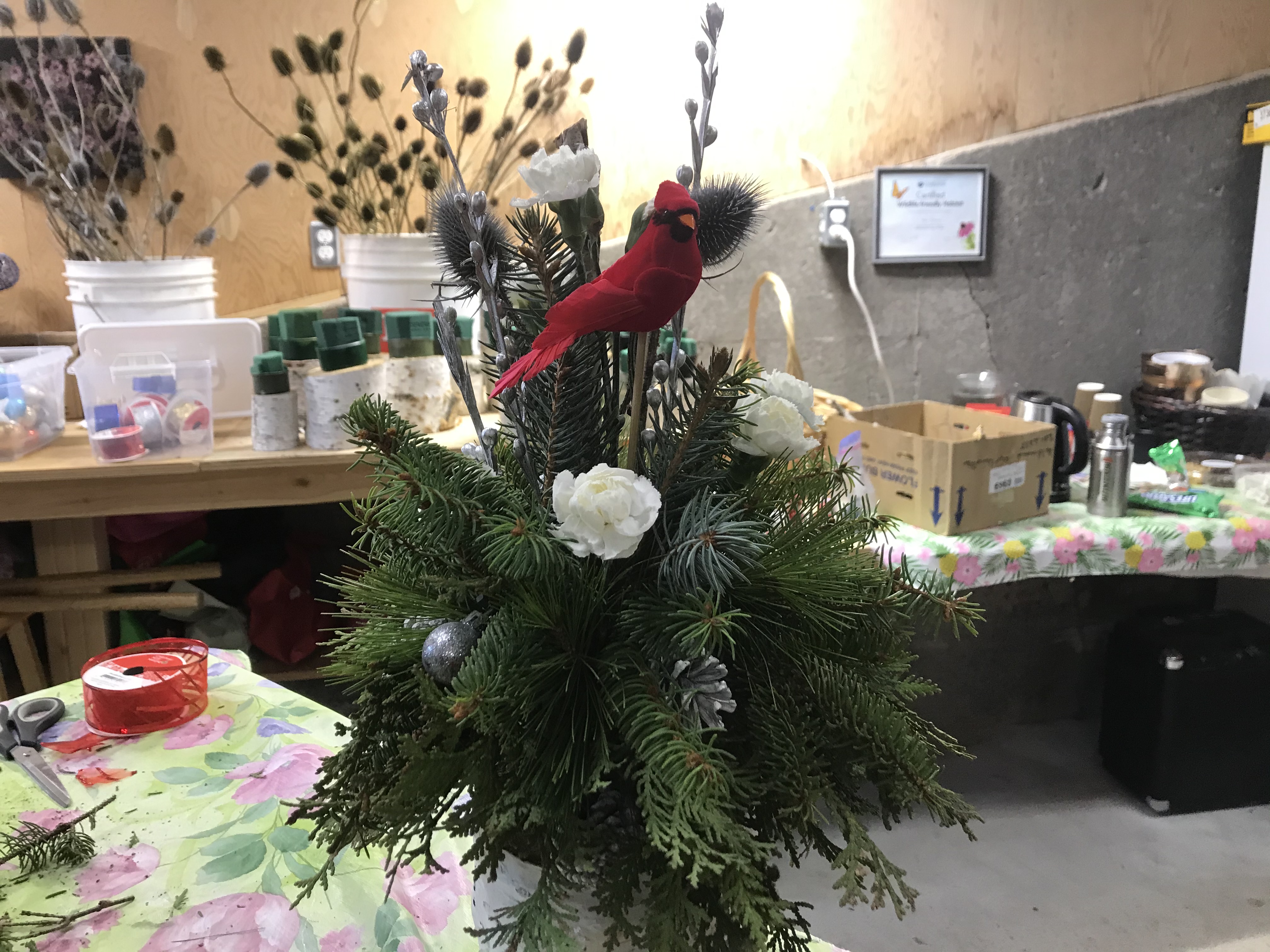 Featured image for Christmas spirit is alive and well within Haldimand Horticultural Society