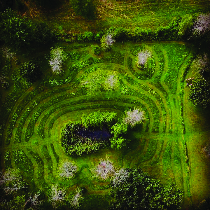 Featured image for Get Growing: The seeds of life