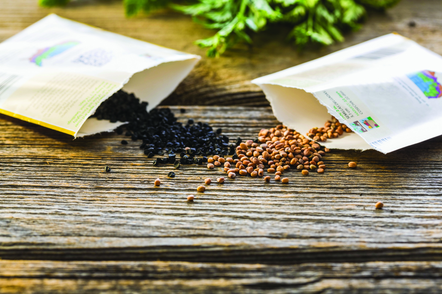 Featured image for HHS coming activities