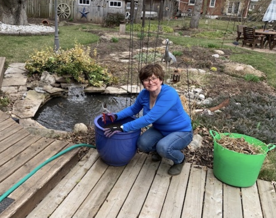 Featured image for Seedy Saturday taking place online this year