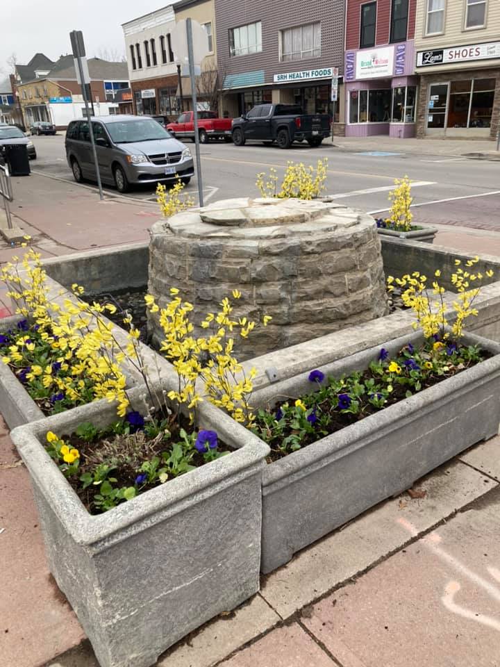 Featured image for Dunnville Horticultural Society gets planting