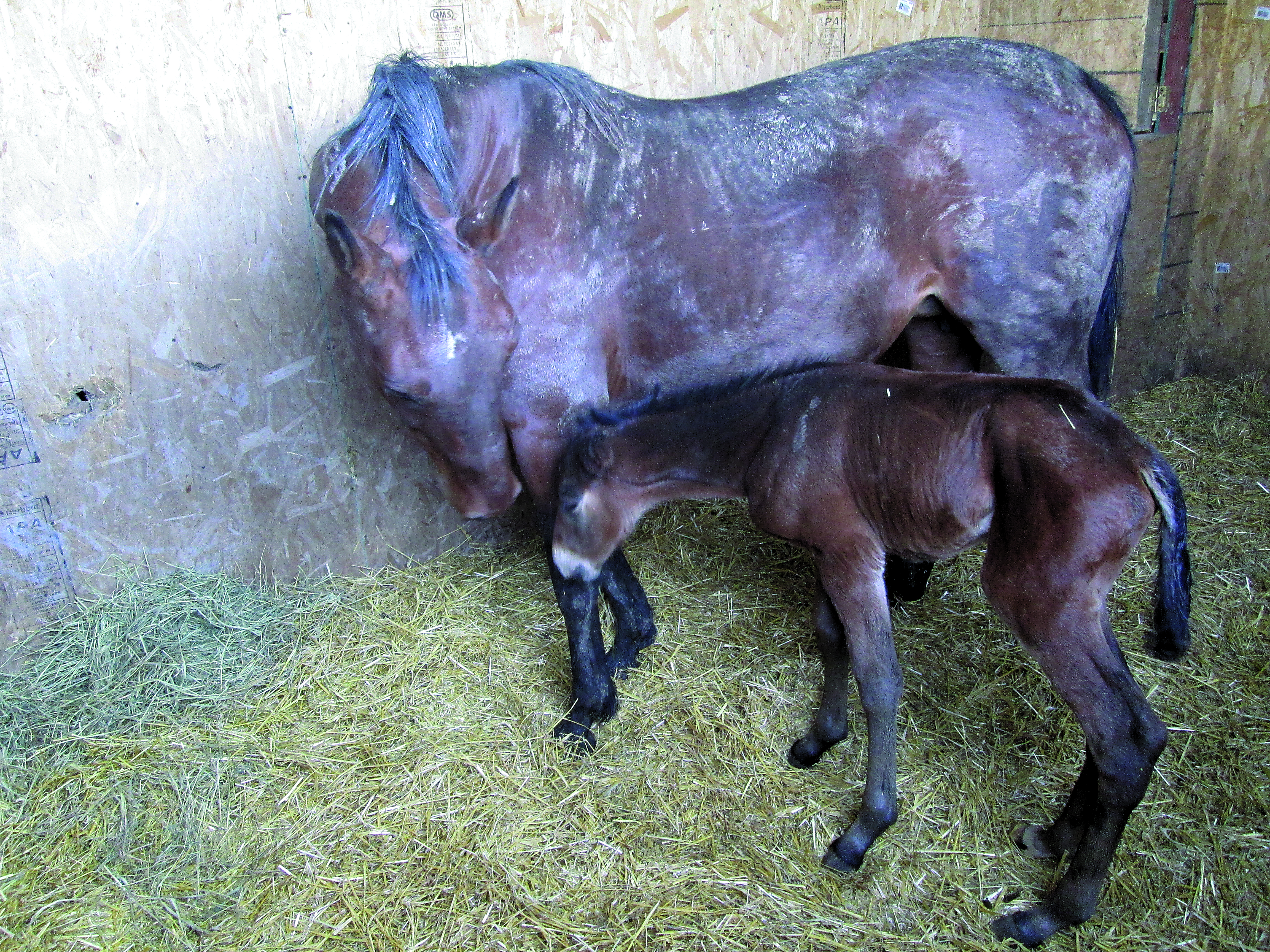 Featured image for Their first Mother’s Day