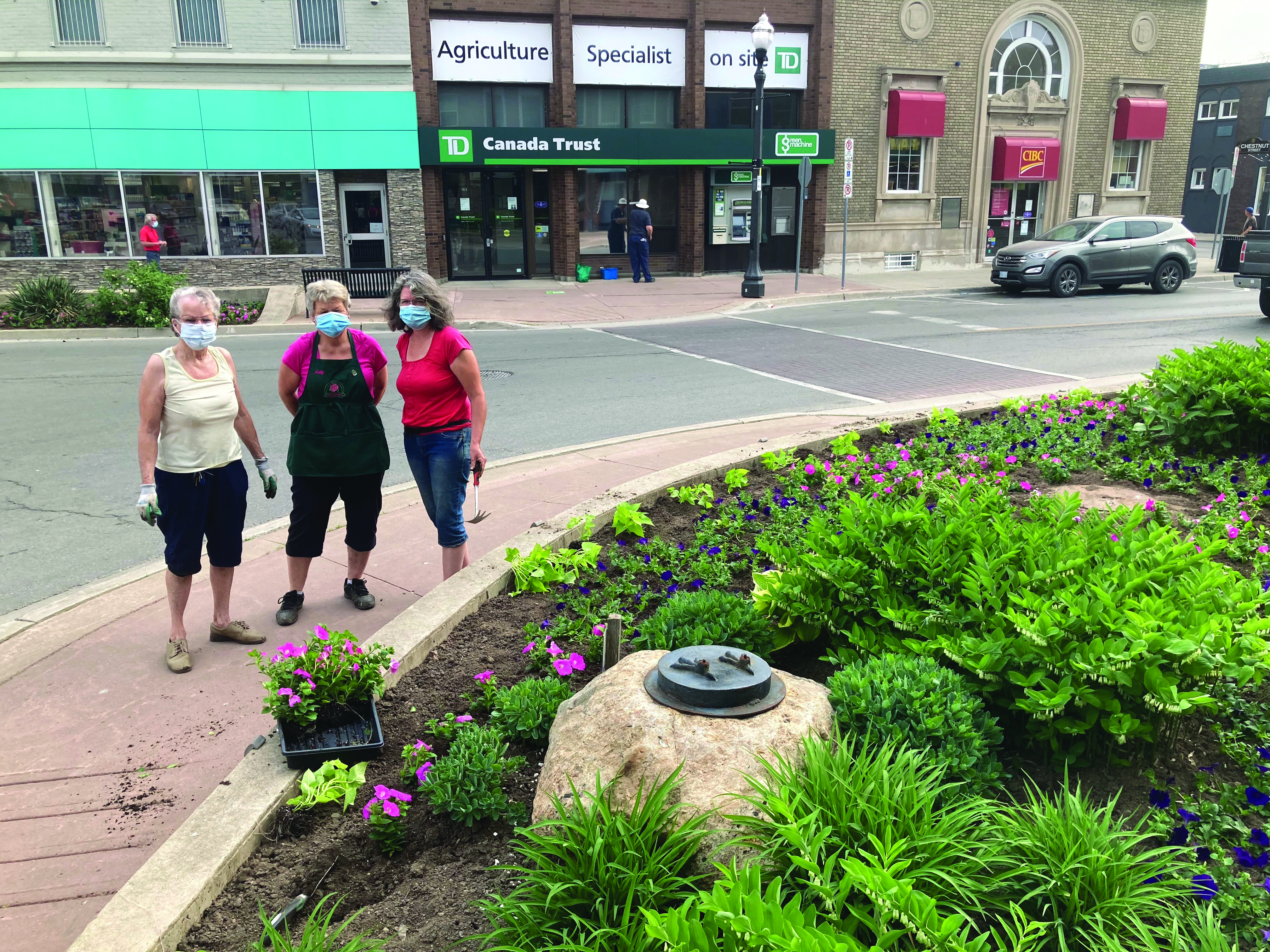 Featured image for Dunnville in bloom: Horticultural Society plants flowerbeds