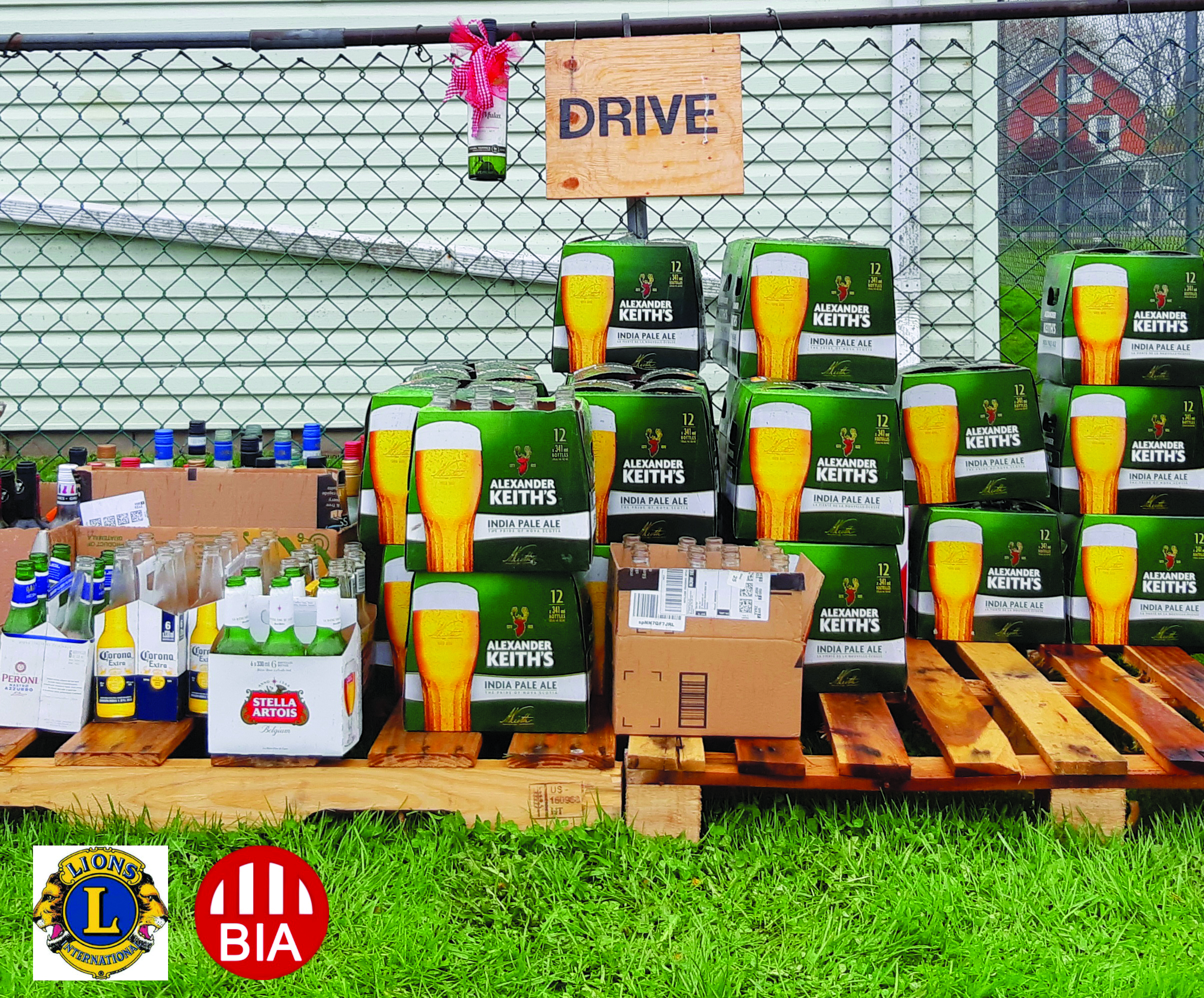 Featured image for Caledonia Lions, BIA raise $3,500