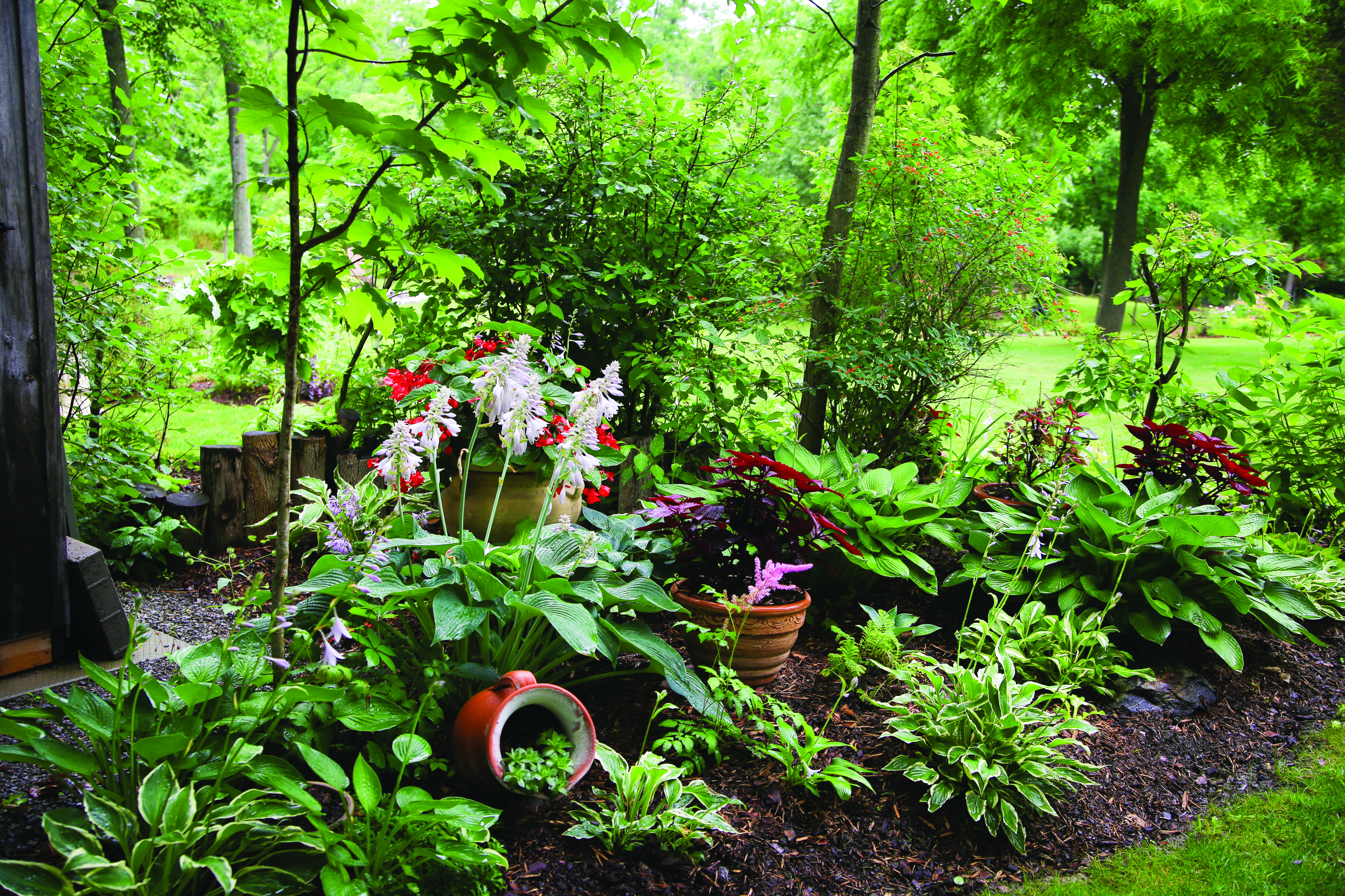 Featured image for HHS spring news