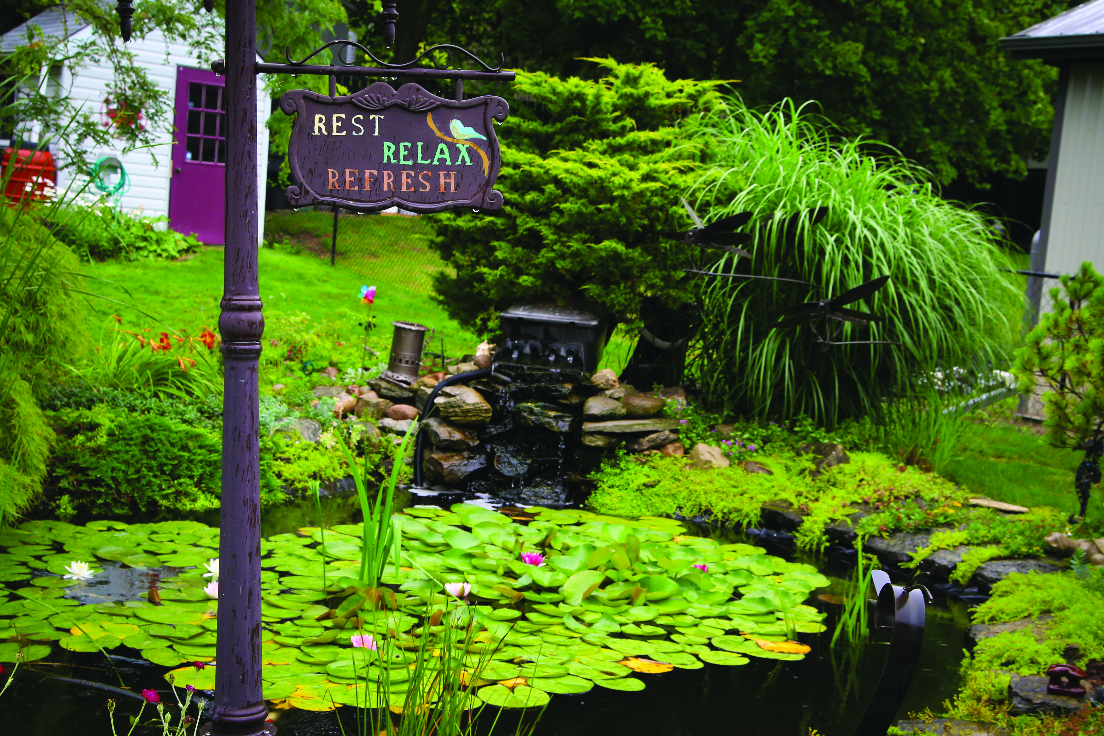 Featured image for Blooming fun for all to see