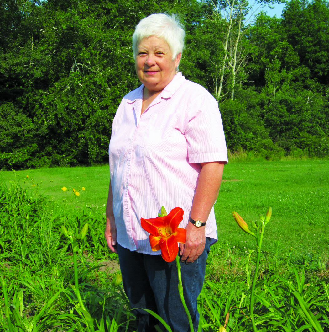 Featured image for 12th annual Cottonwood Mansion Daylily Sale coming soon