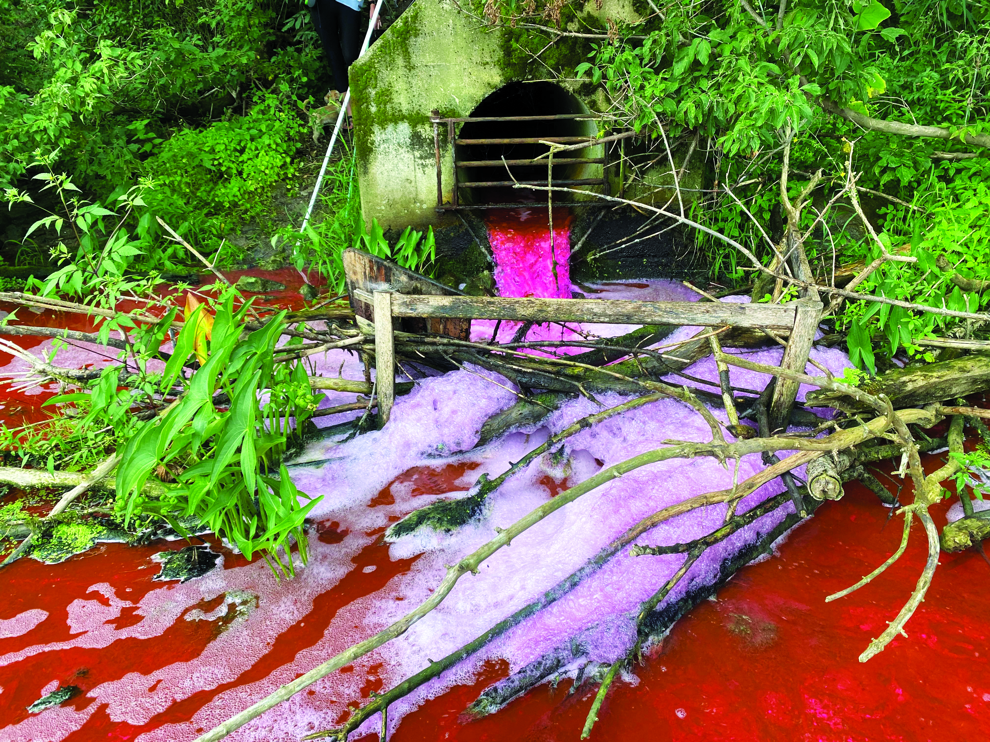 Featured image for Environmentally friendly dye informs County staff