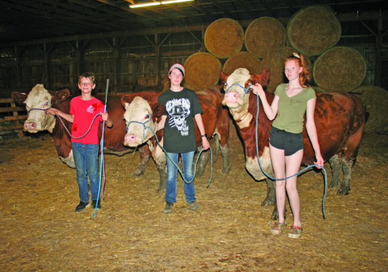 Haldimand 4-H Beef Club members looking forward to Achievement Day at Caledonia Fair