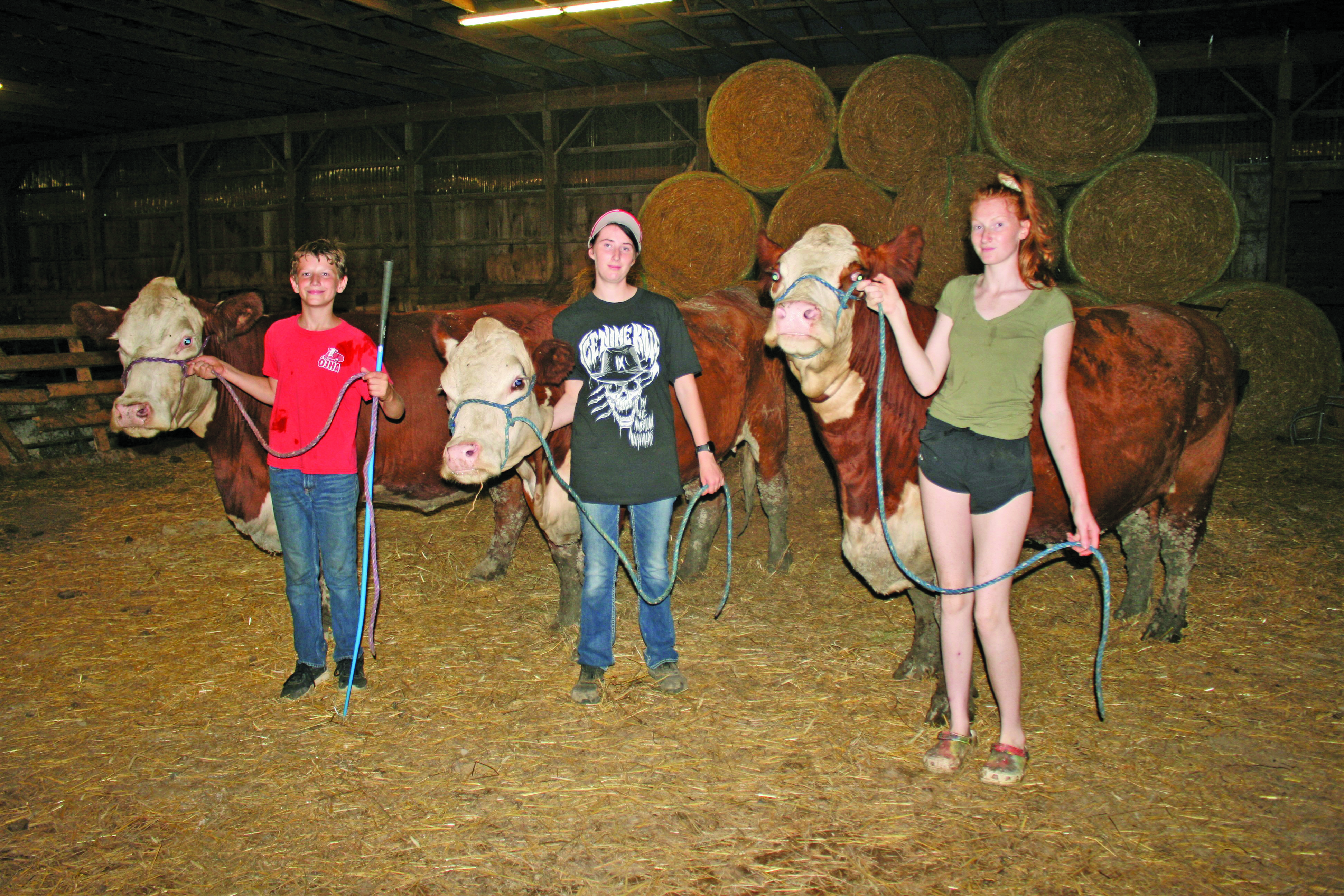 Featured image for Haldimand 4-H Beef Club members looking forward to Achievement Day at Caledonia Fair