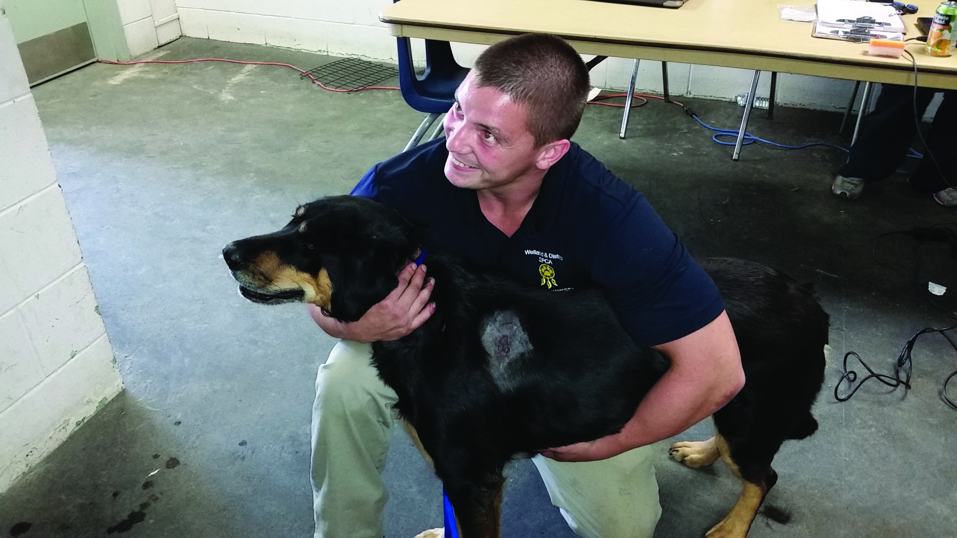 Featured image for Niagara SPCA works  tirelessly to shelter  Haldimand’s stray animals