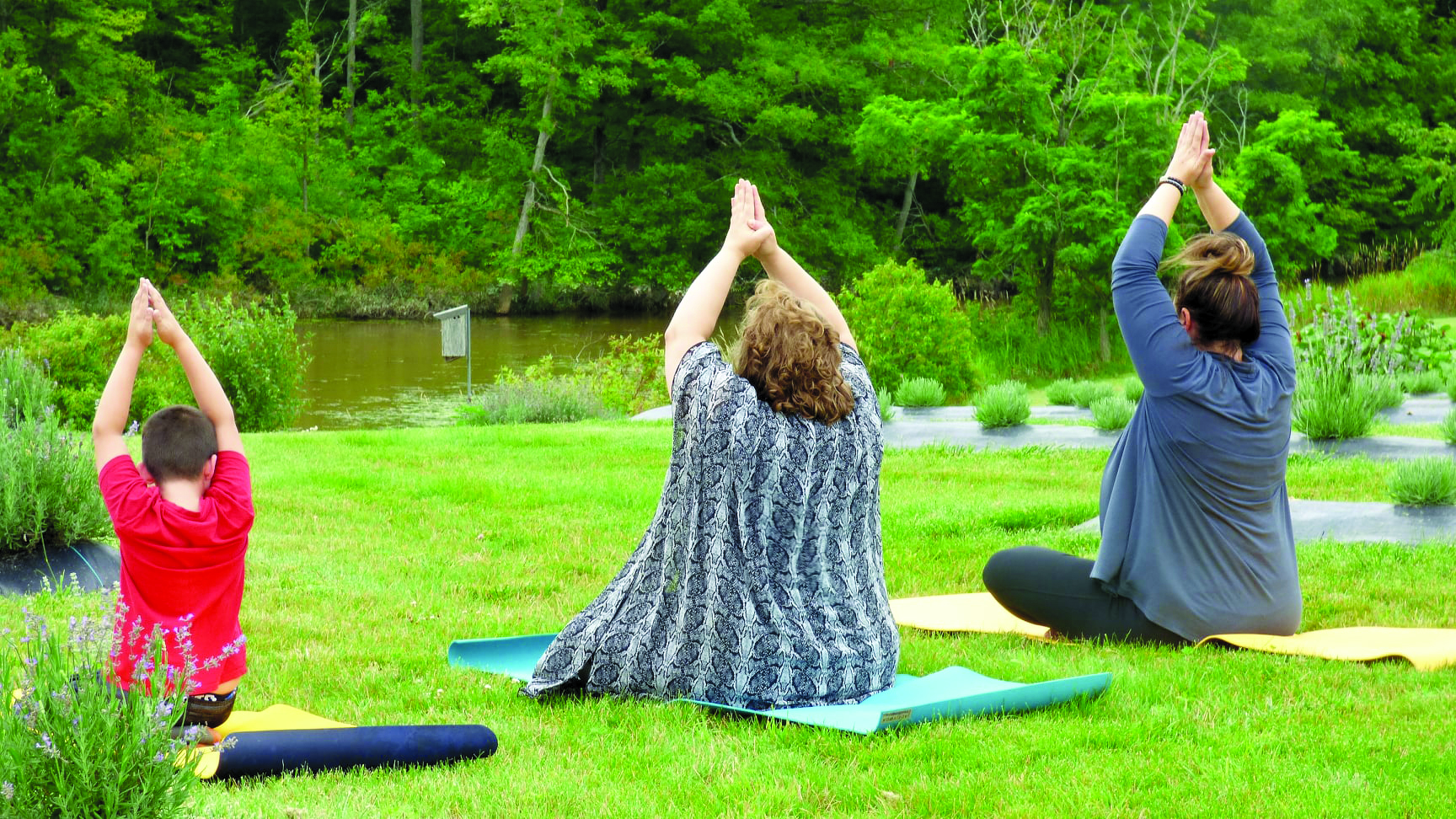 Featured image for Canfield-based Purple Haven Lavender Farm a great example of agri-tourism