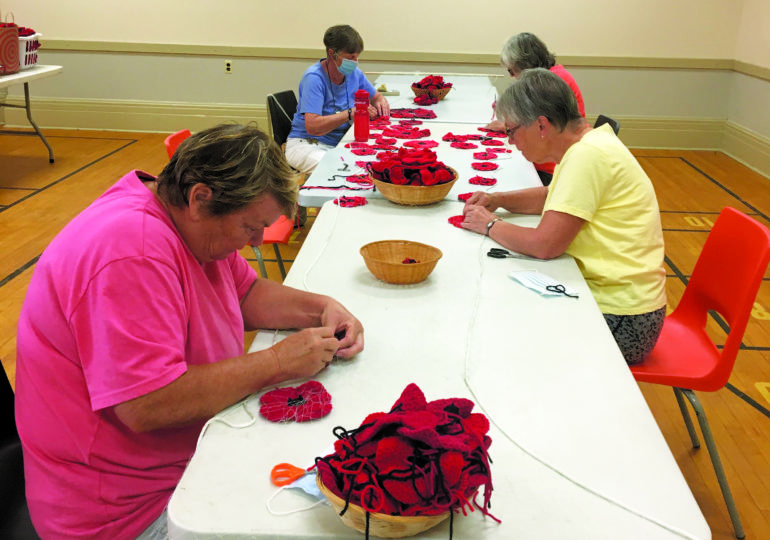 Phase II: The assembly of the Selkirk Poppy Project!