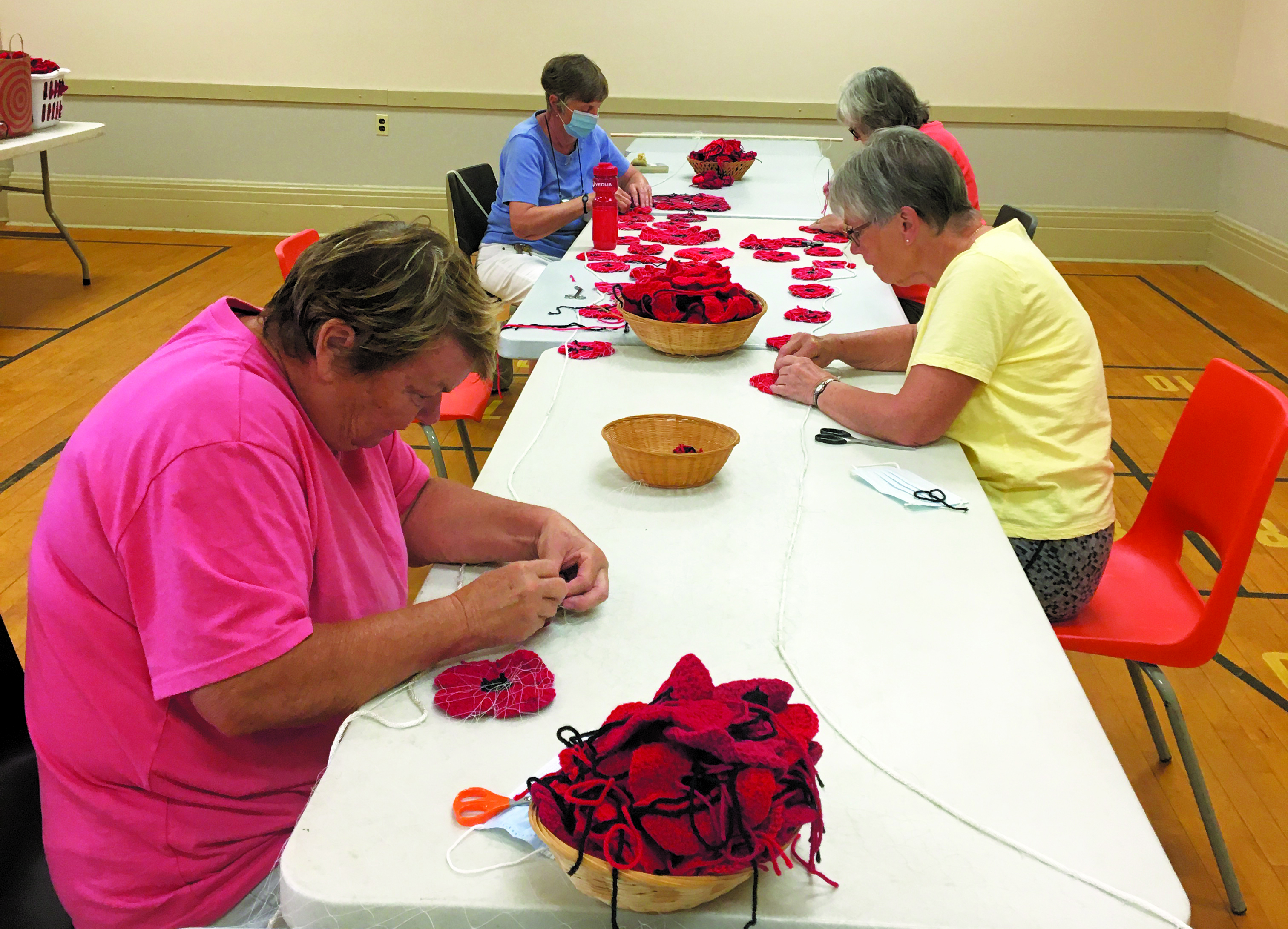 Featured image for Phase II: The assembly of the Selkirk Poppy Project!
