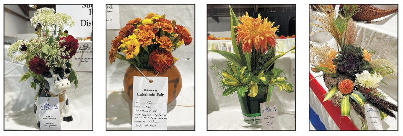 Featured image for HHS members win big at fair