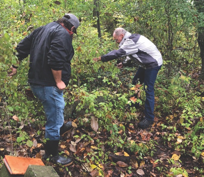 Featured image for ‘Canfield Roots’ now available on Vimeo On Demand