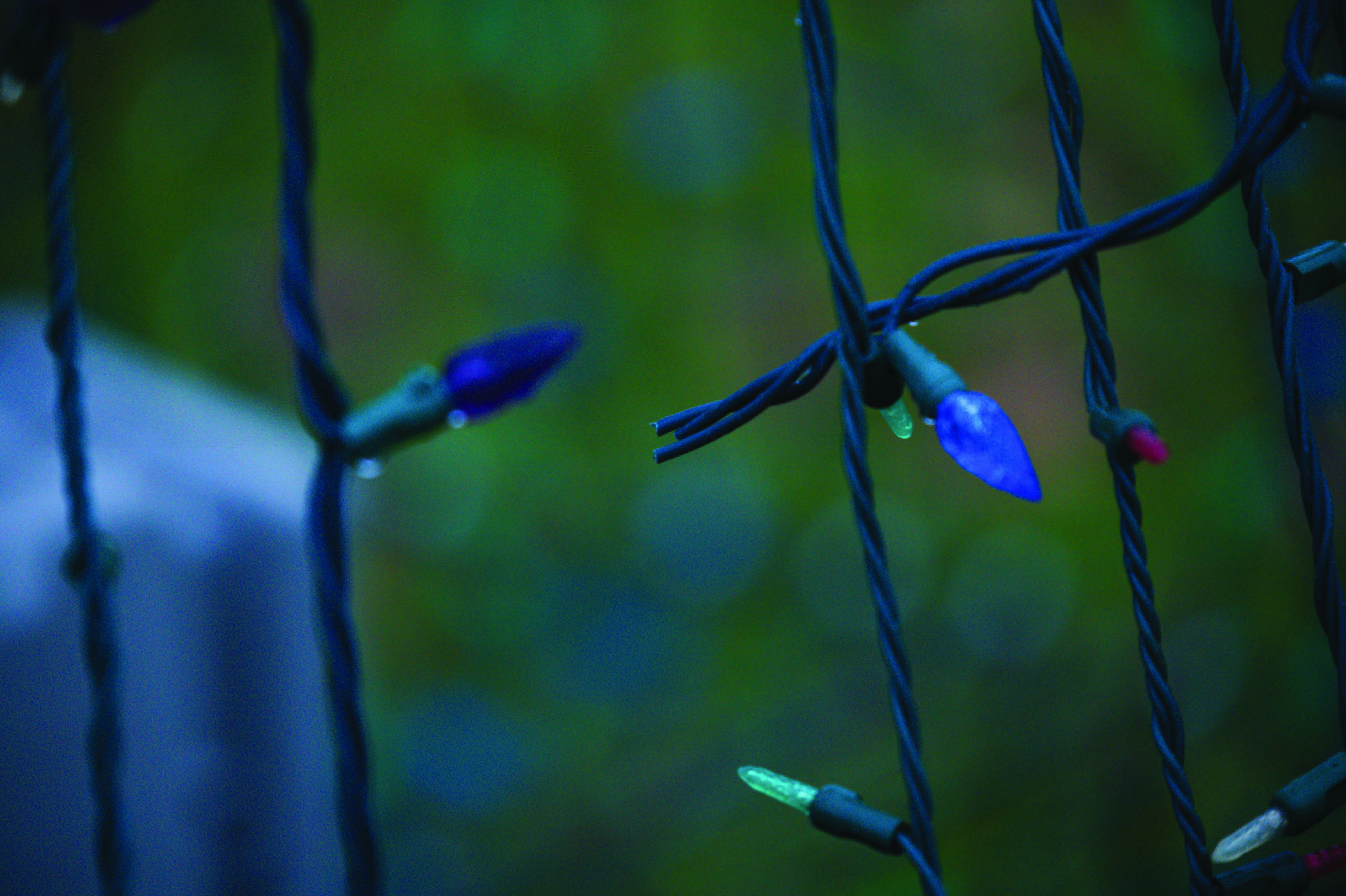 Featured image for Community rallies after vandalism cancels Lights Along the Grand