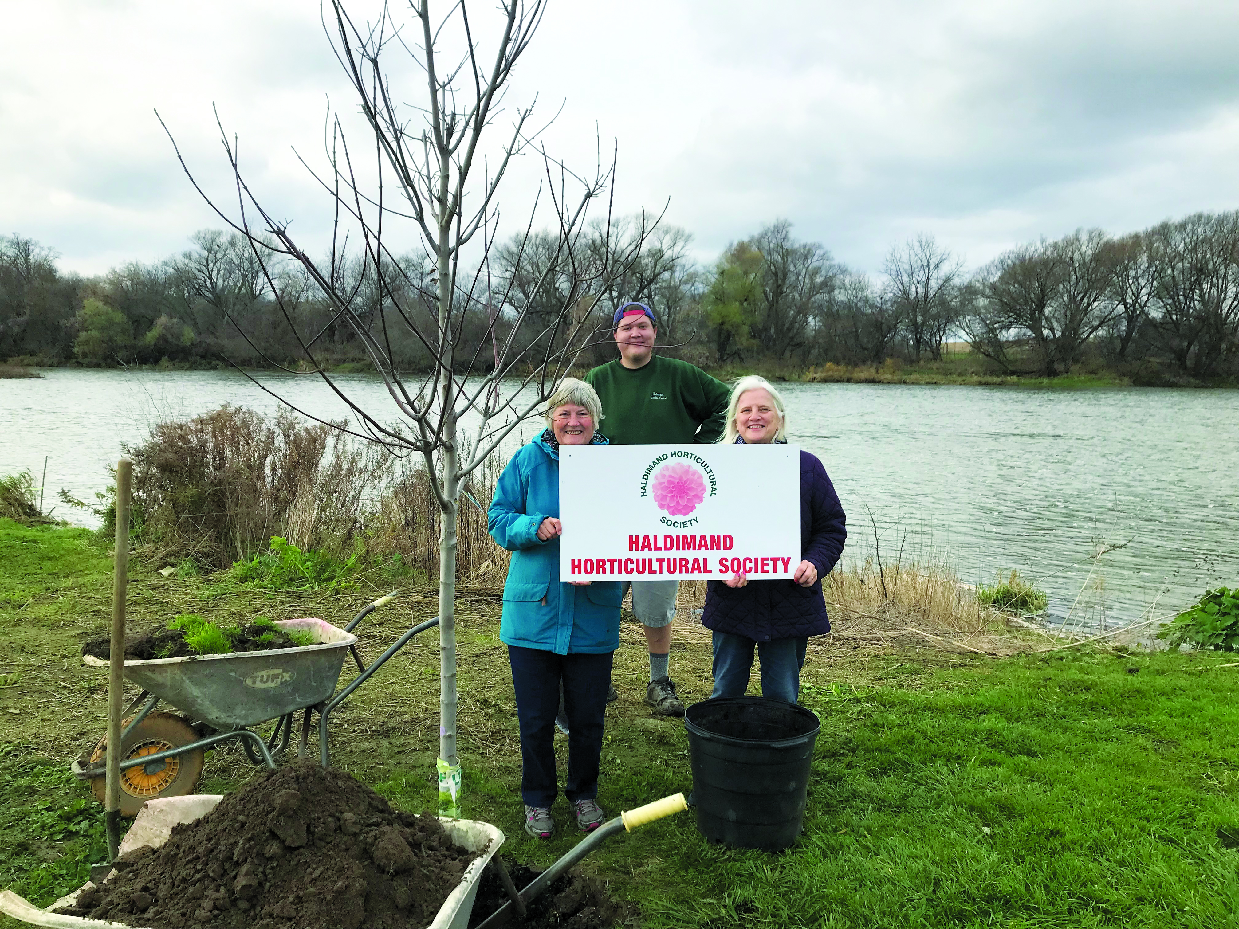 Featured image for Haldimand Horticultural Society plants three trees