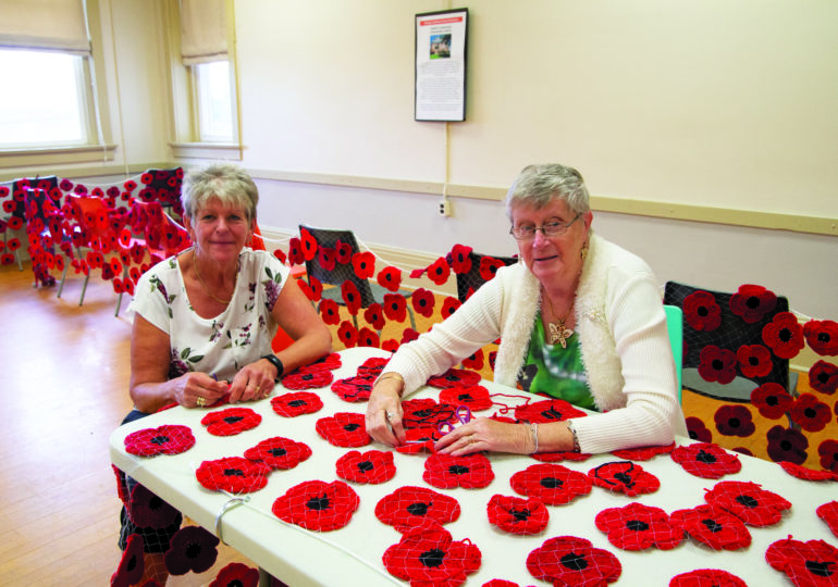 Selkirk Poppy Project completed and on display