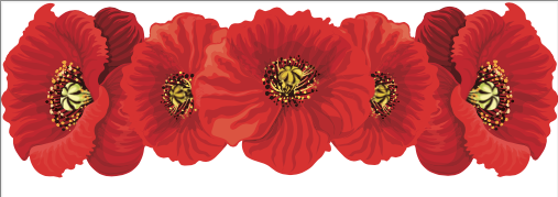 Featured image for Right to wear poppies enshrined