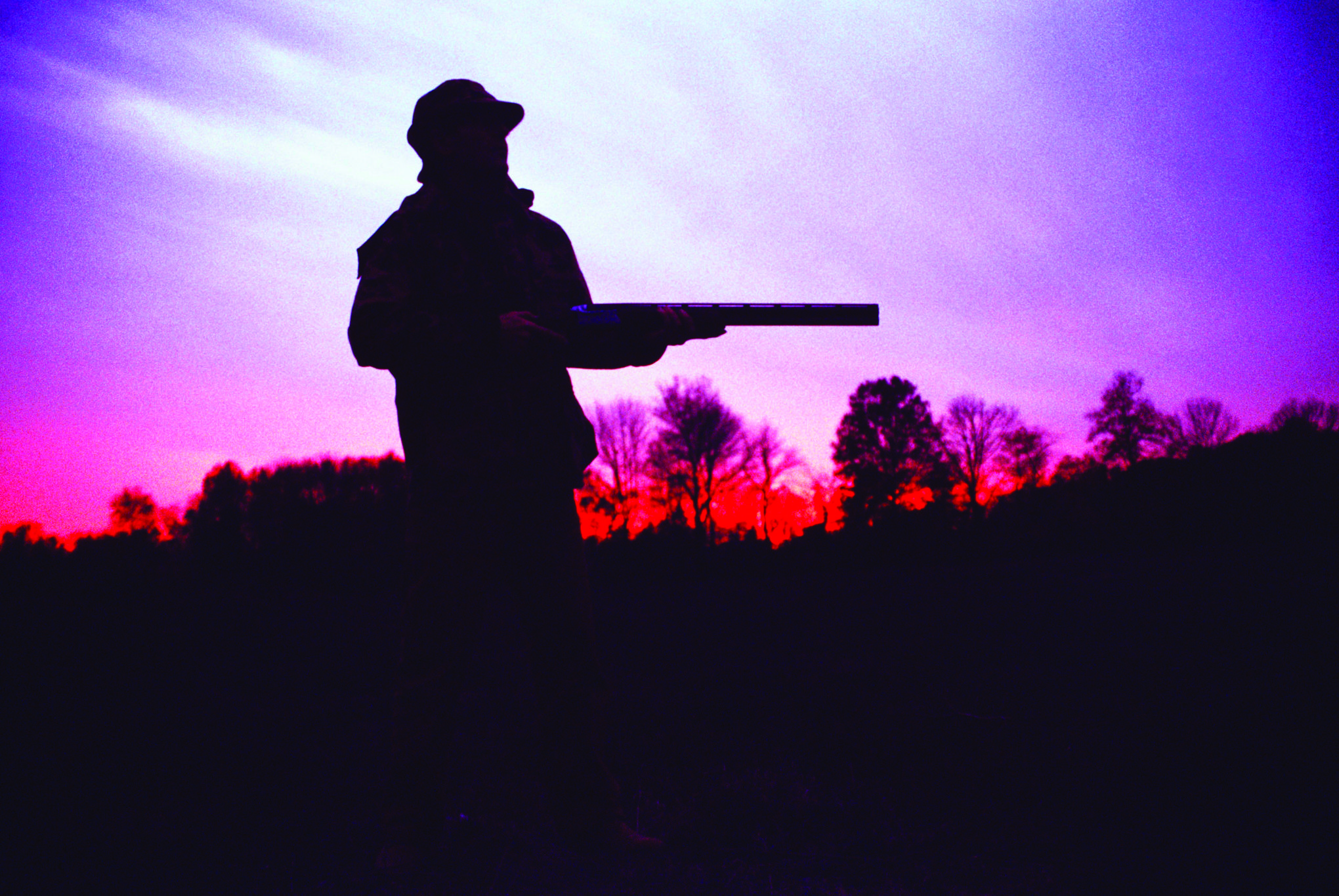 Featured image for Haldimand OPP reports increase in calls related to night hunting