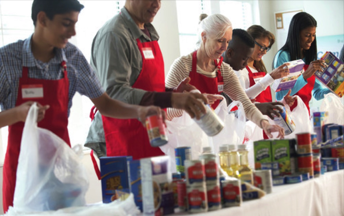 Featured image for Volunteers make Haldimand a vibrant, caring community