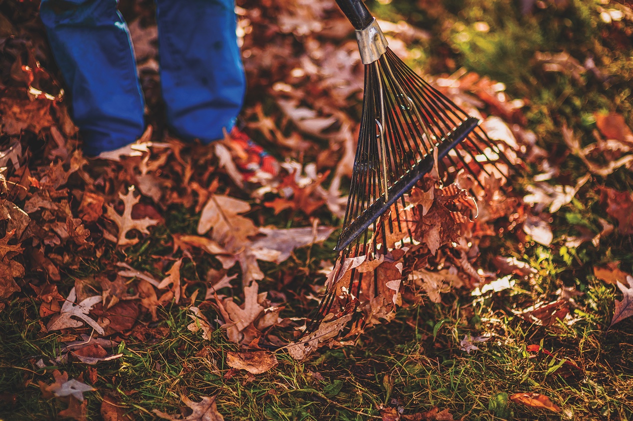 Featured image for County announces year-round leaf & yard waste drop-off
