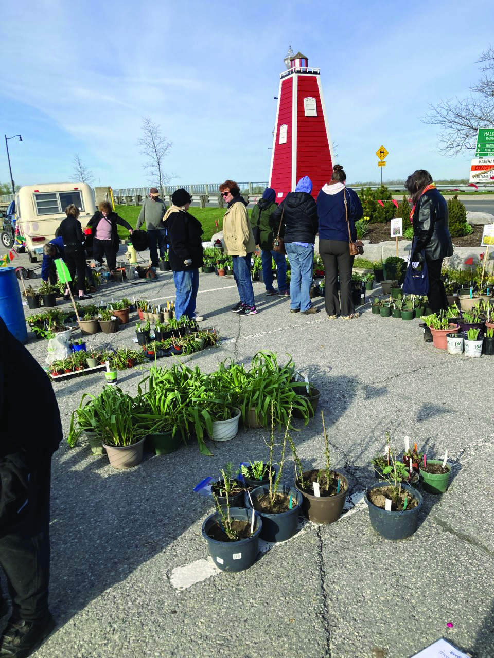 Featured image for It’s gardening time!