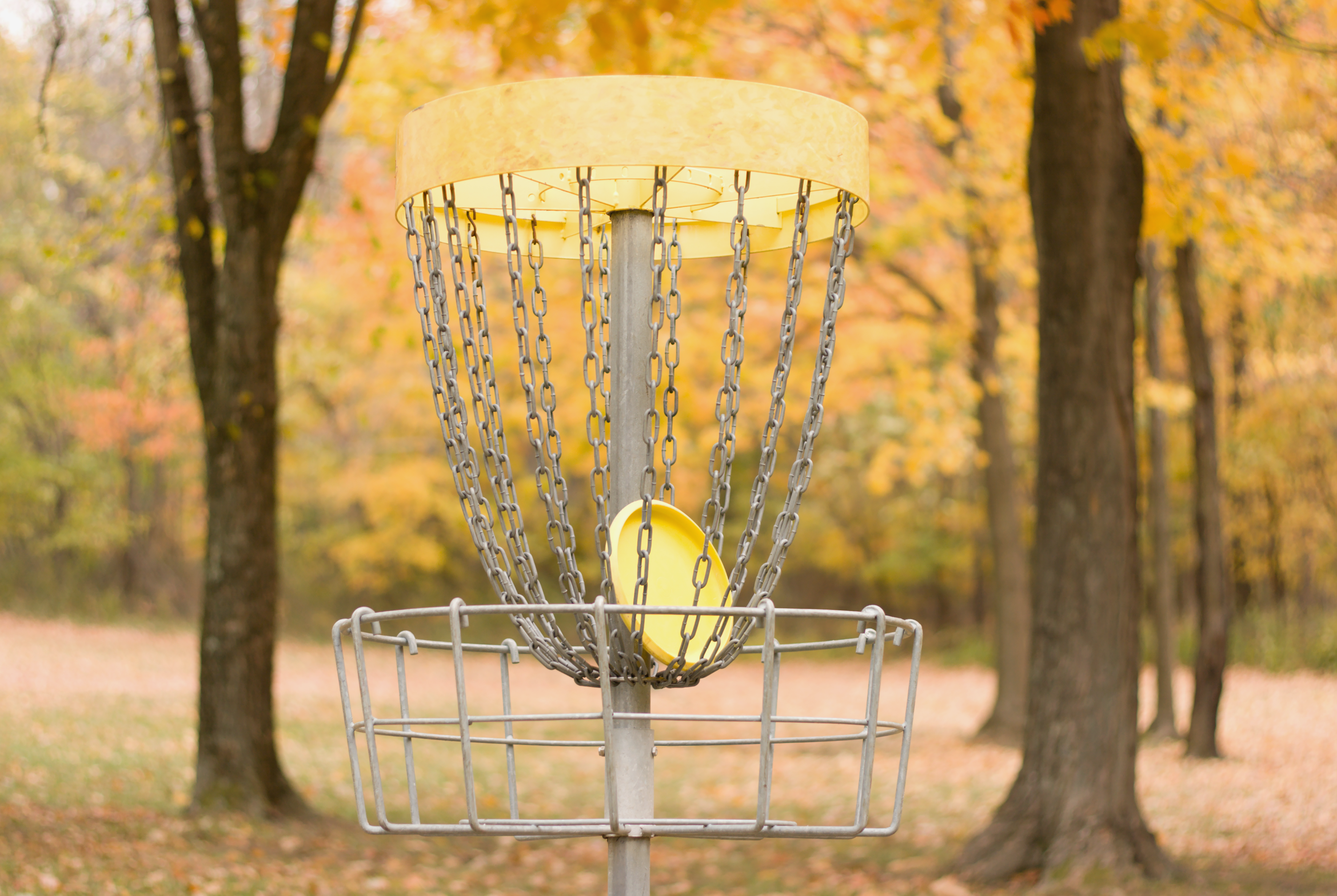 Jarvis Lions Park named site of new 9-hole disc golf course