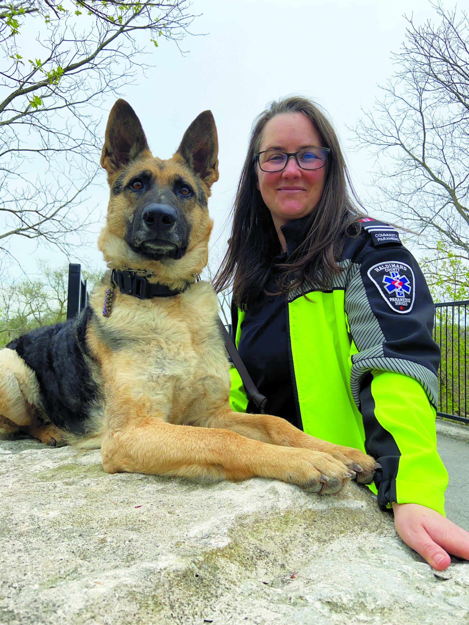 Featured image for Program aims to connect therapy dogs with vulnerable residents