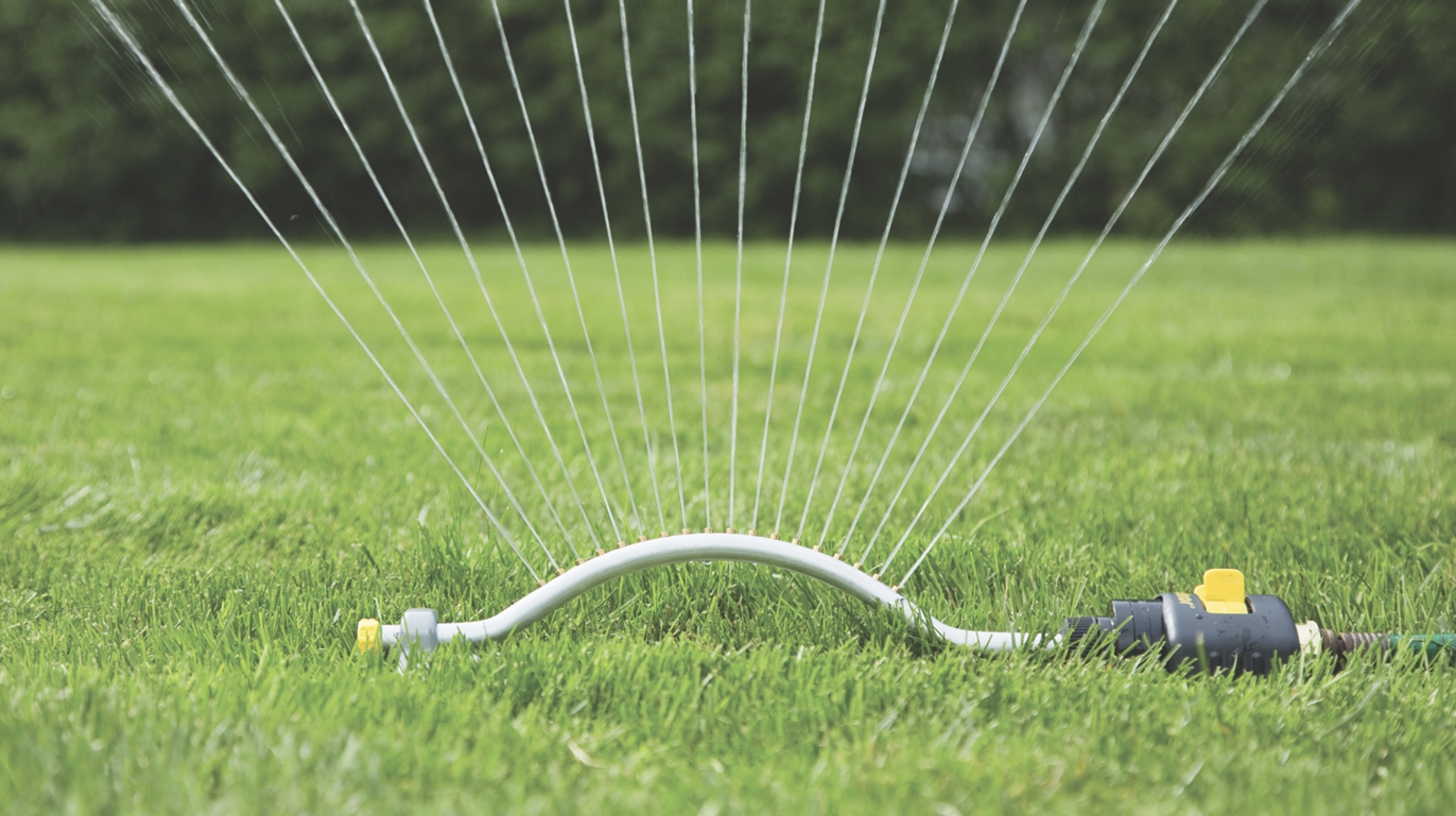 Featured image for Water conservation urged in watershed