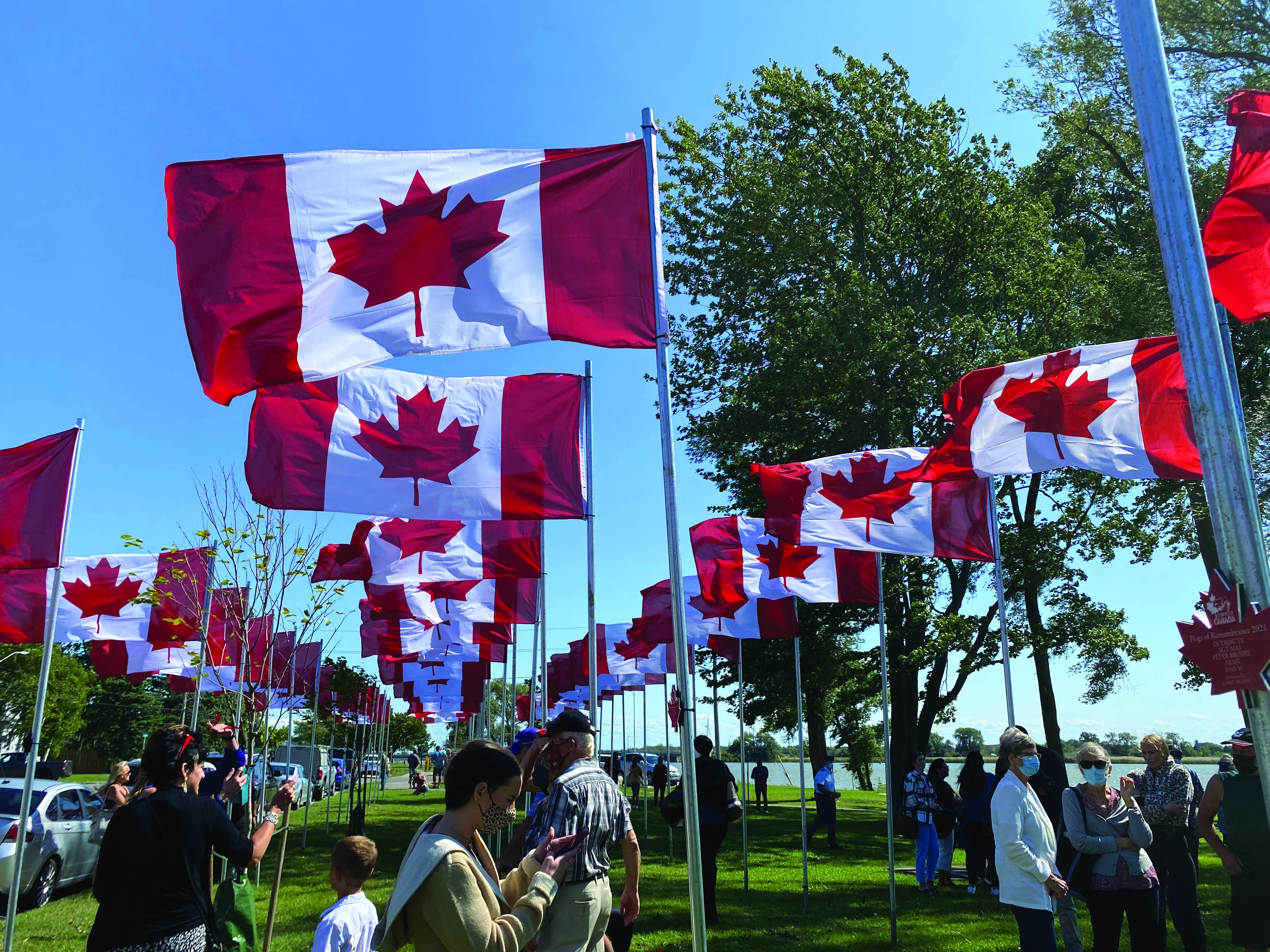 Featured image for Flags of Remembrance to return to Dunnville this September