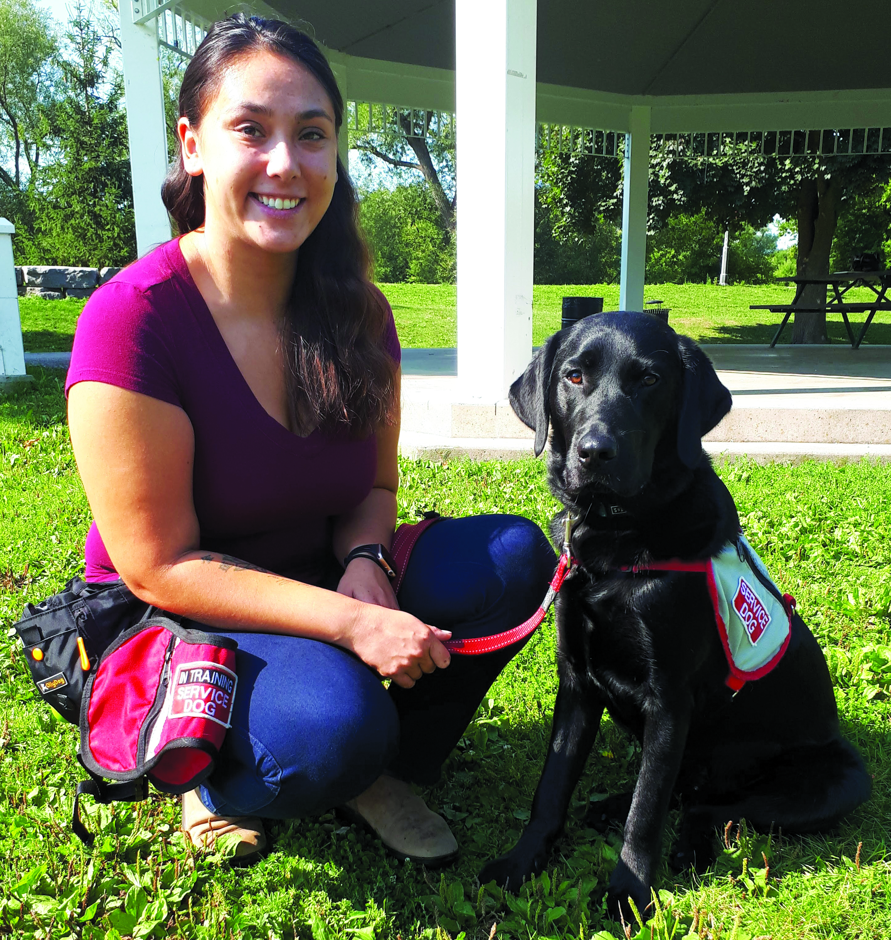 Featured image for Meeting demand for autism service dogs requires volunteer recruitment for new trainers